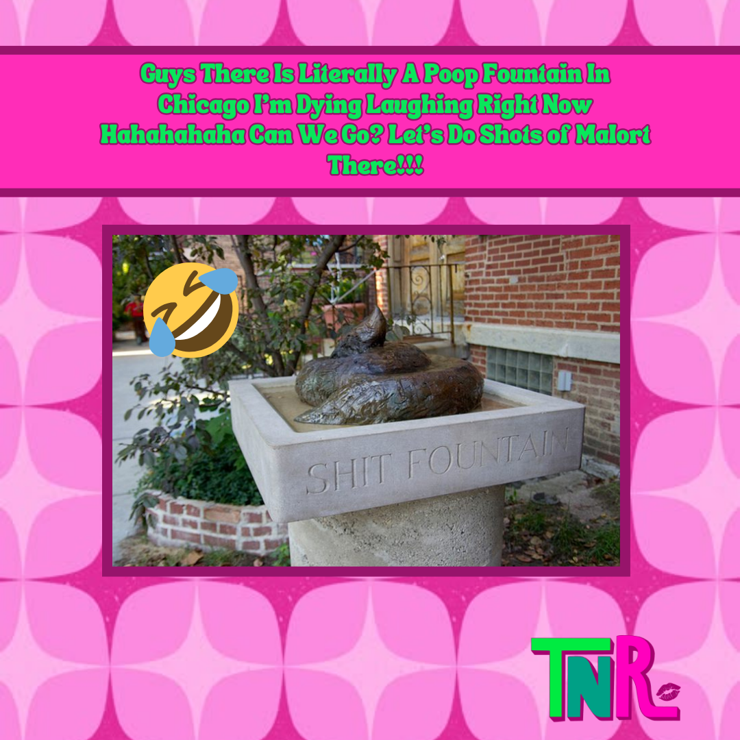 Guys There Is Literally A Poop Fountain In Chicago I’m Dying Laughing Right Now Hahahahaha Can We Go? Let’s Do Shots of Malort There!!!