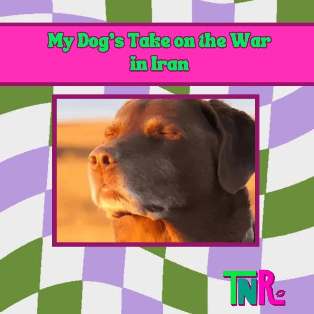 My Dog’s Take on the War in Iran