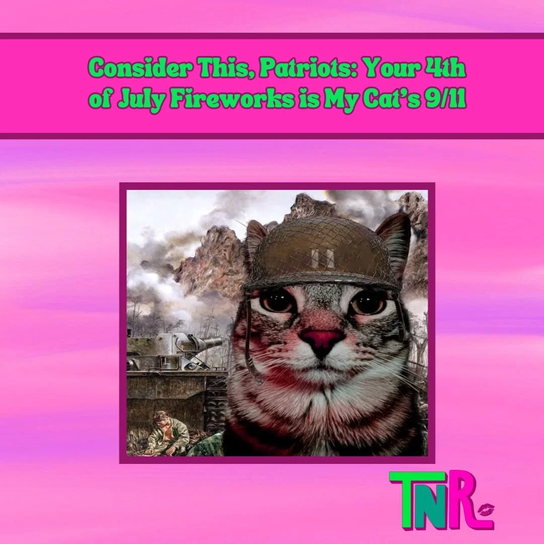 Consider This, Patriots: Your 4th of July Fireworks is My Cat's 9/11