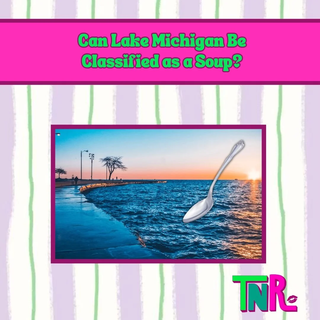 Can Lake Michigan Be Classified as a Soup?
