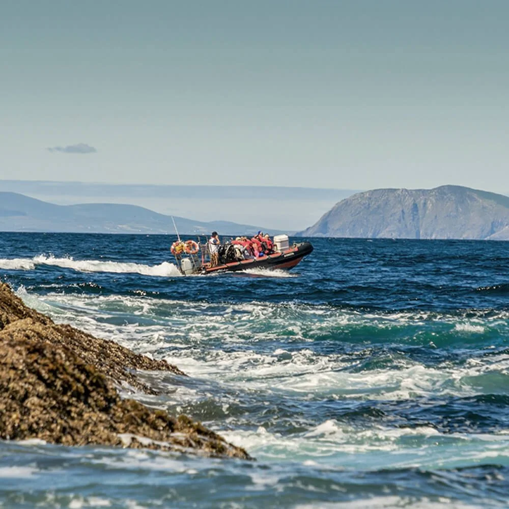 Group of people on a boat tour