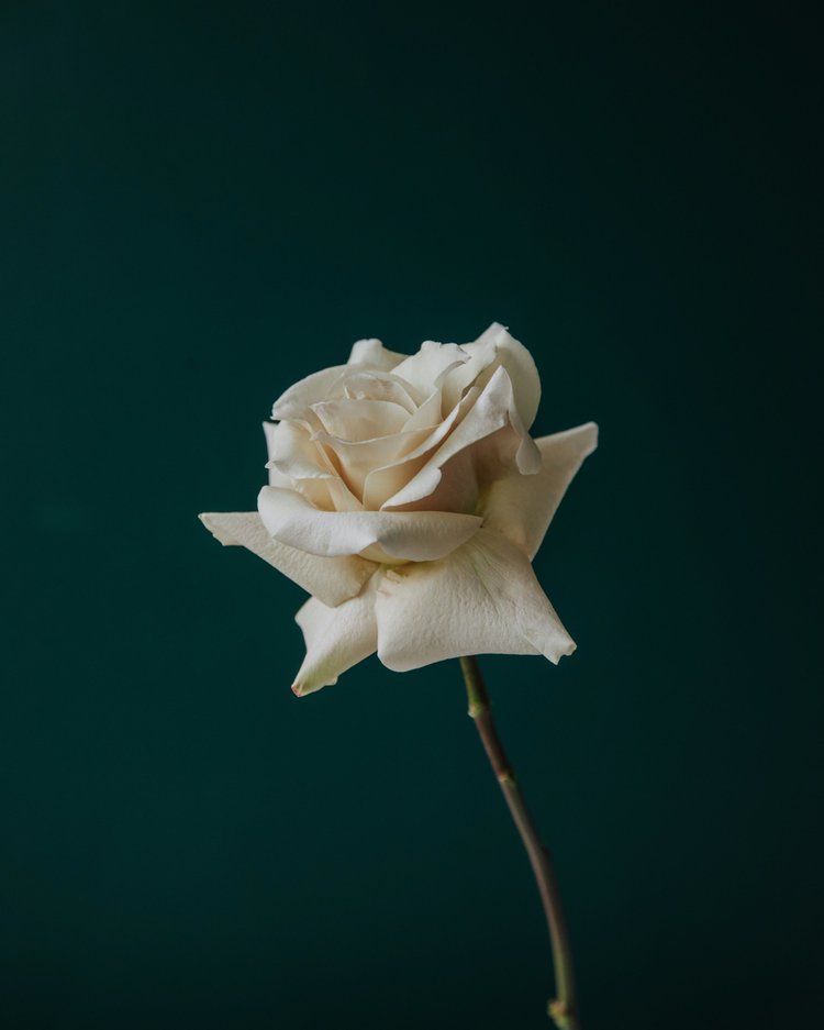 Perimenopause & Menopause