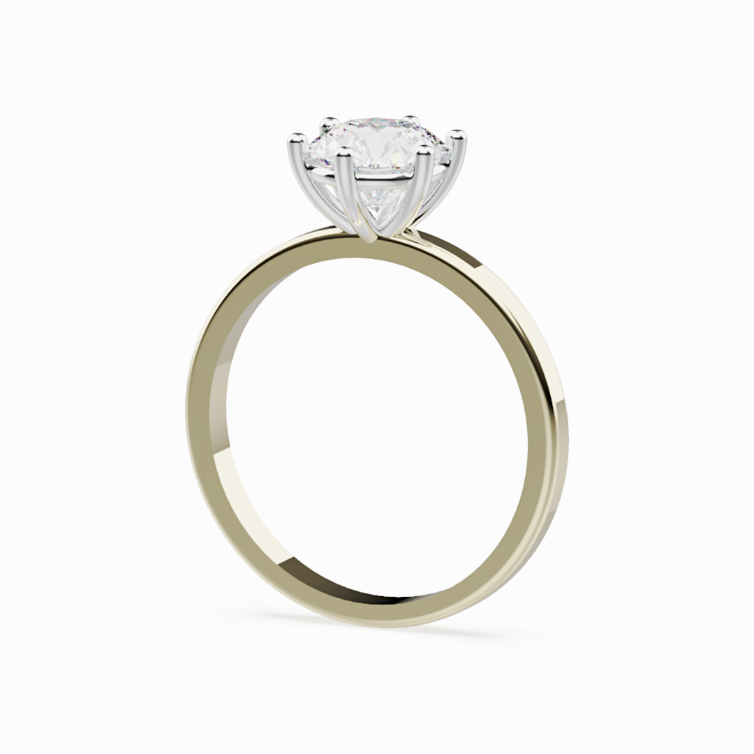 ANILLO DUO REDONDO4.png (copia)