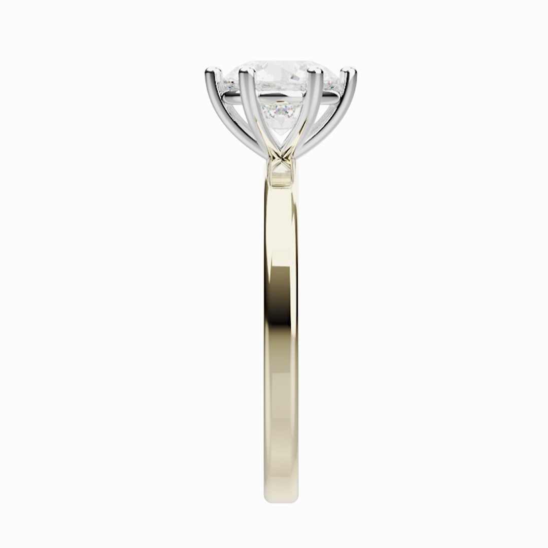 ANILLO DUO REDONDO3.png (copia)