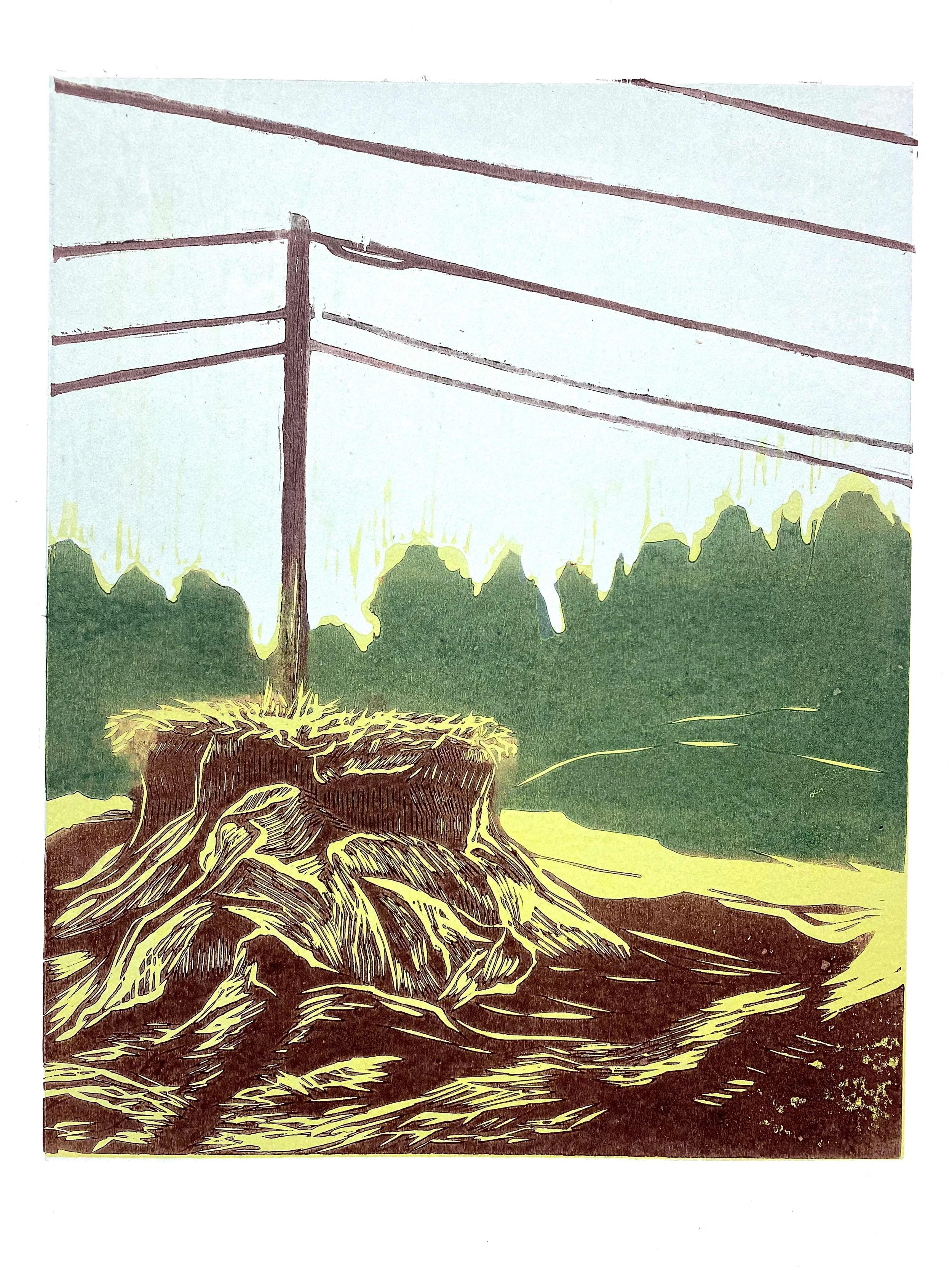 Eaves_Raised Earth on the Way to Seneca (Hwy. 76).JPG