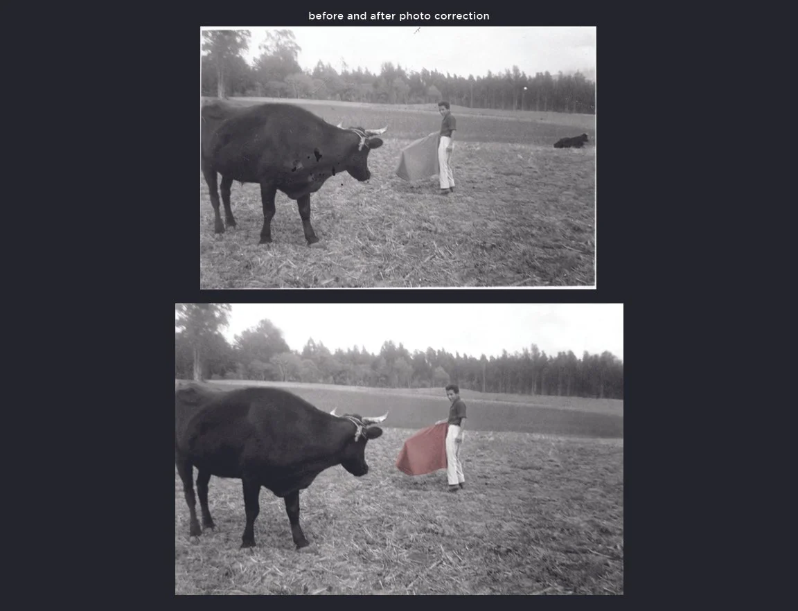 PhotoCorrection copy.jpg