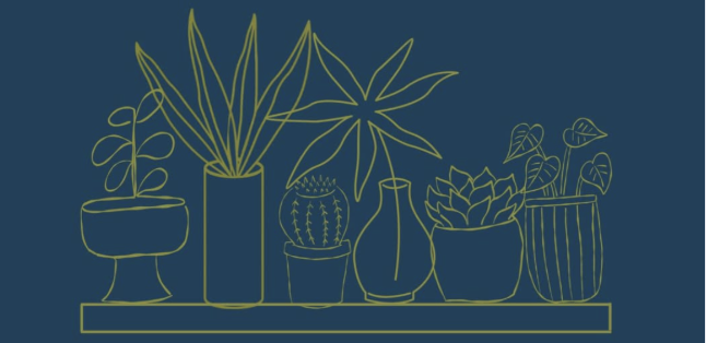 Plant Bingo 