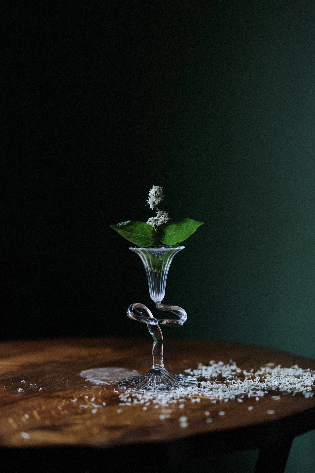 2Z2A8013-VSCO (1).jpeg