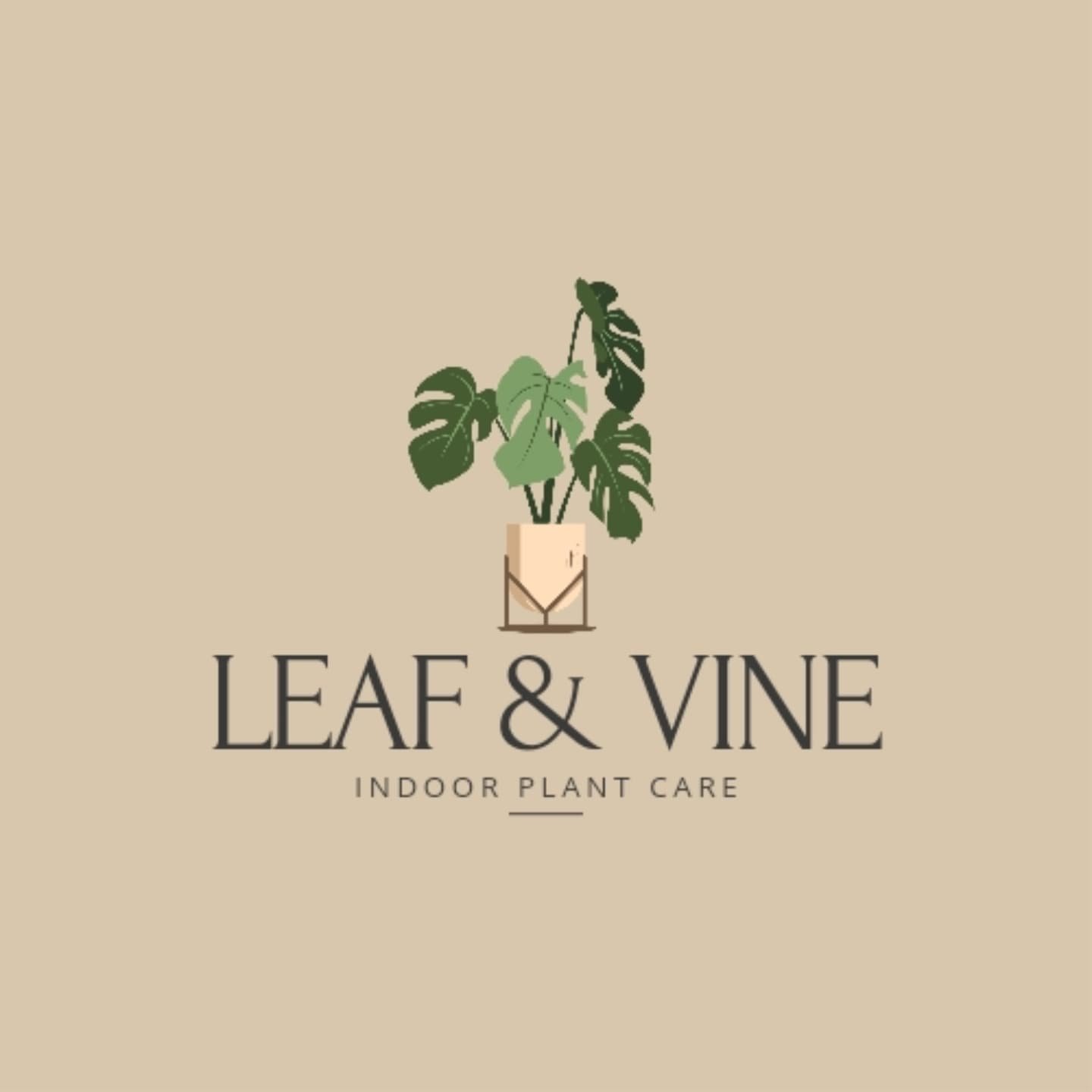 🌿 Welcome to Leaf and Vine Plant Care 🌿

We are so excited to introduce Leaf and Vine, where our passion for plants meets a commitment to enhancing your home and business spaces. Our mission is simple: to create vibrant, healthy indoor environments