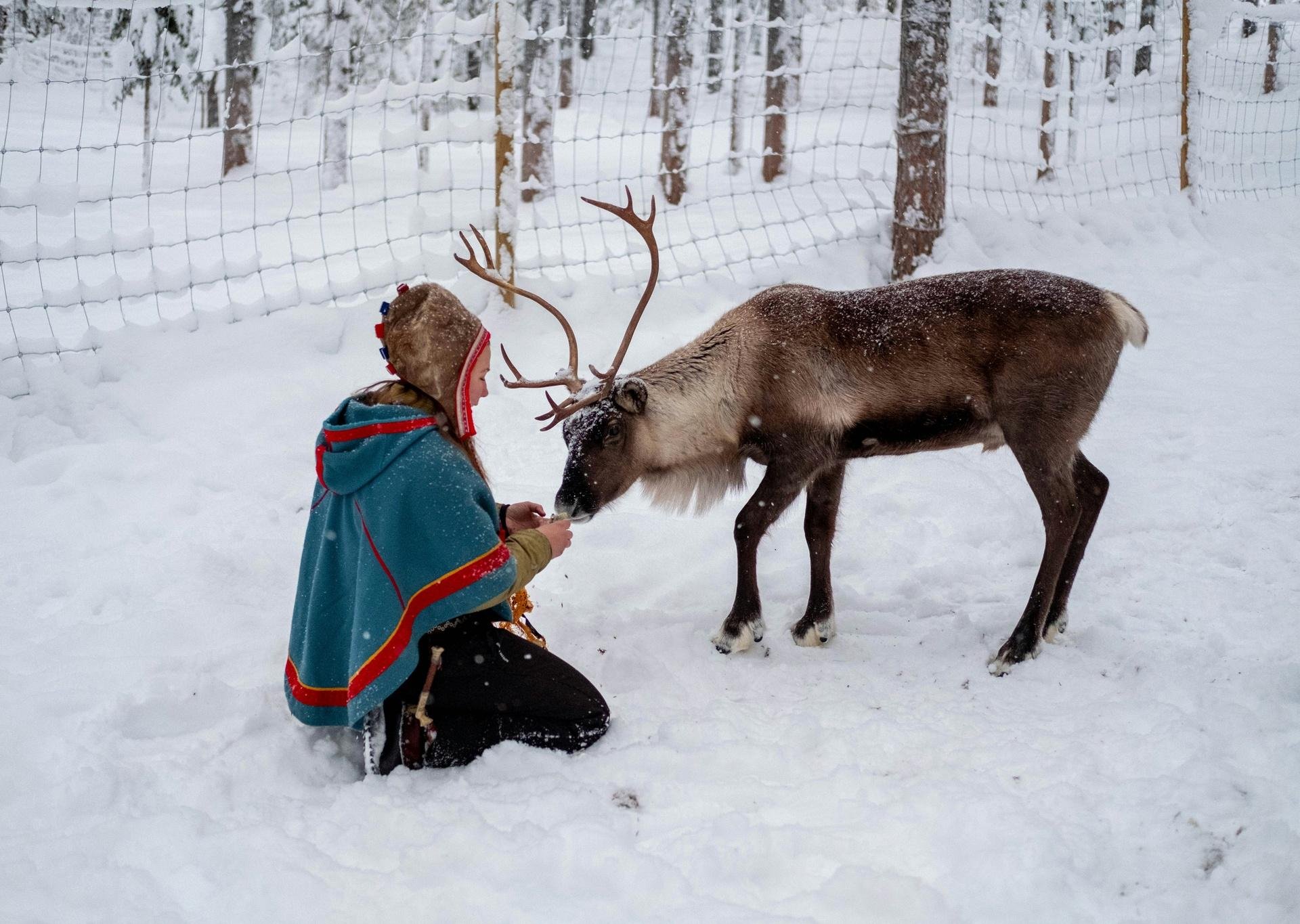 caribou and girl .jpg