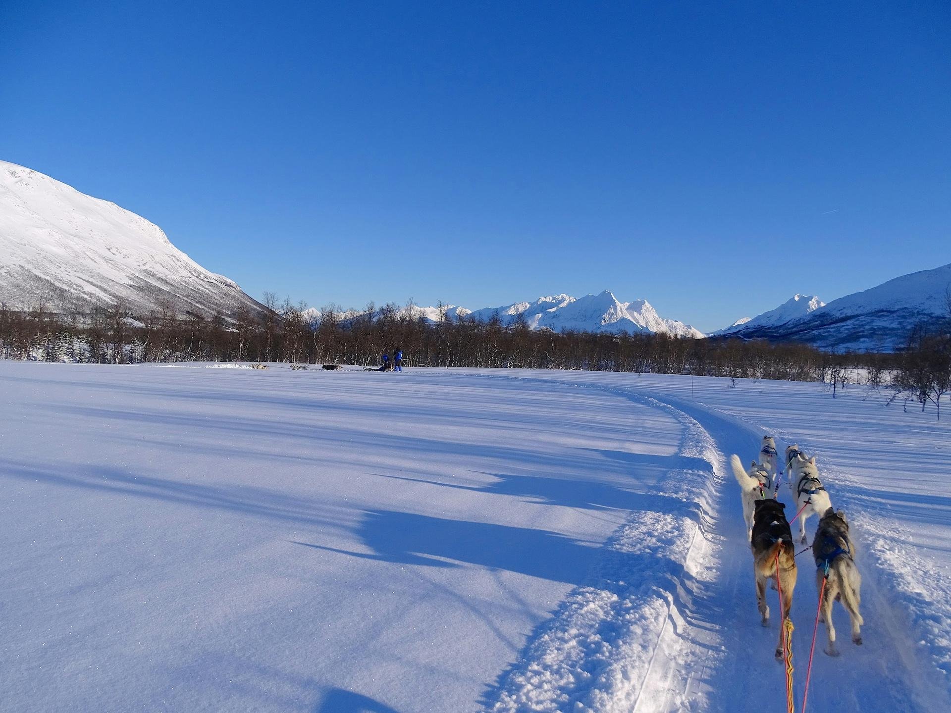 Lapland trip 2027 .jpg