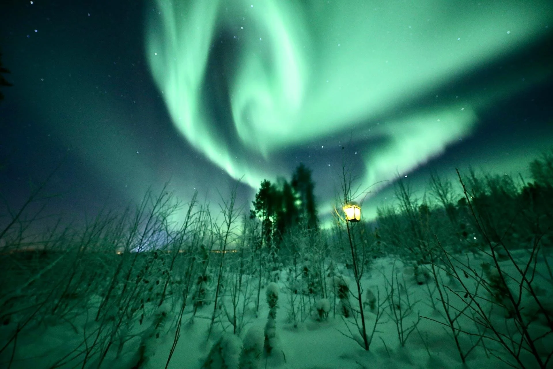 Northern lights.jpg