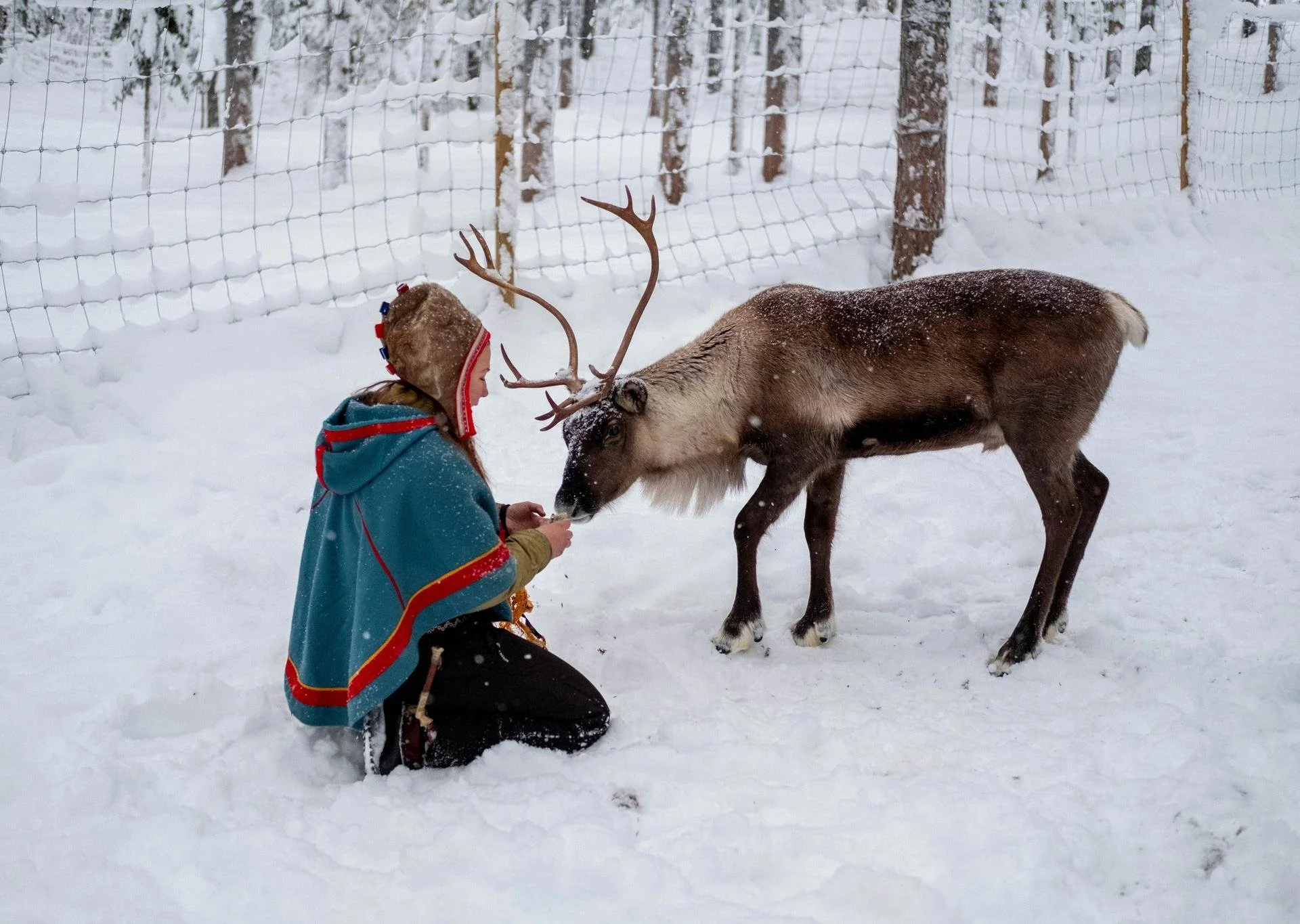 caribou and girl .jpg