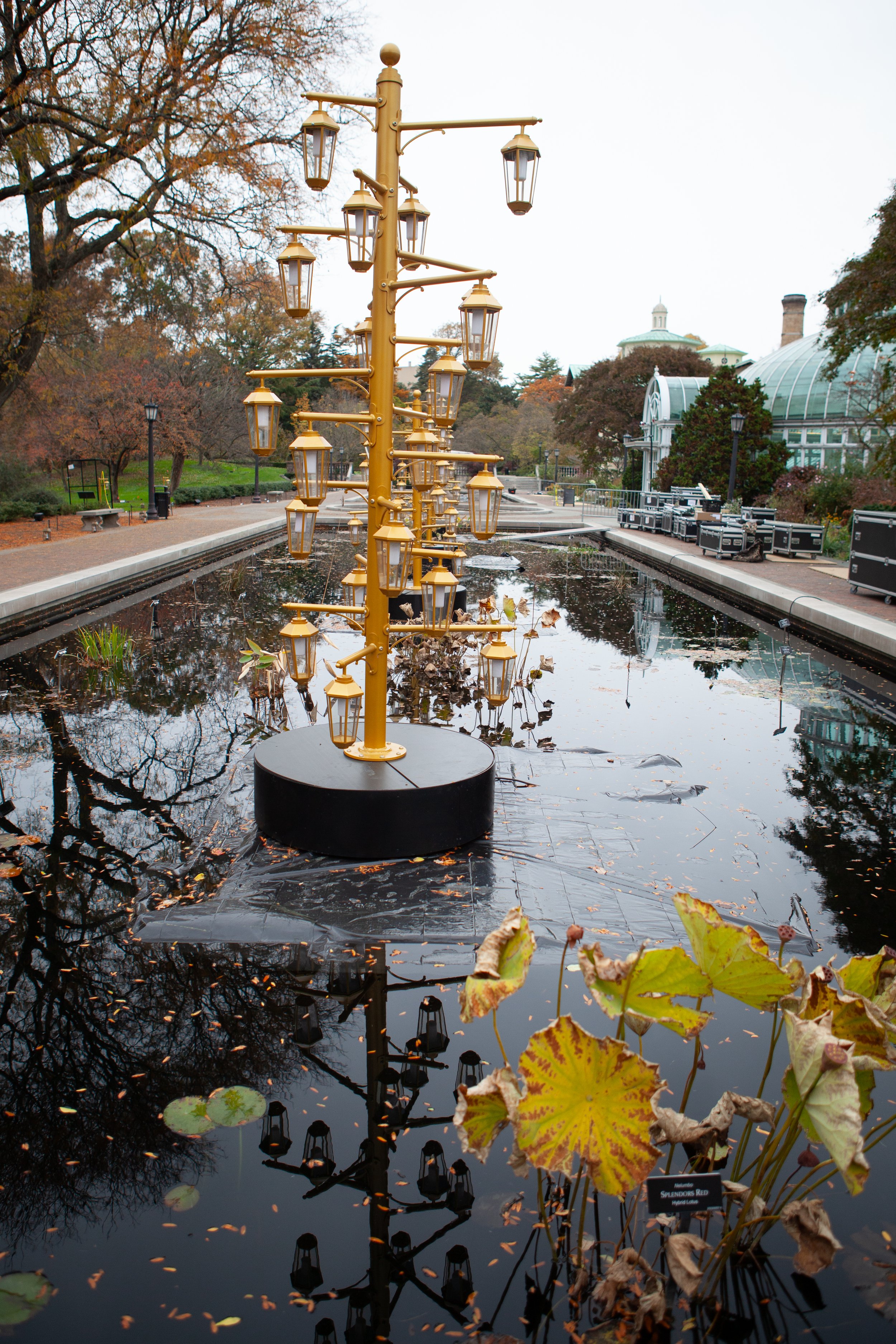 _MG_0004.jpg