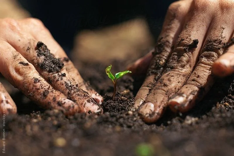 benefits of grounding