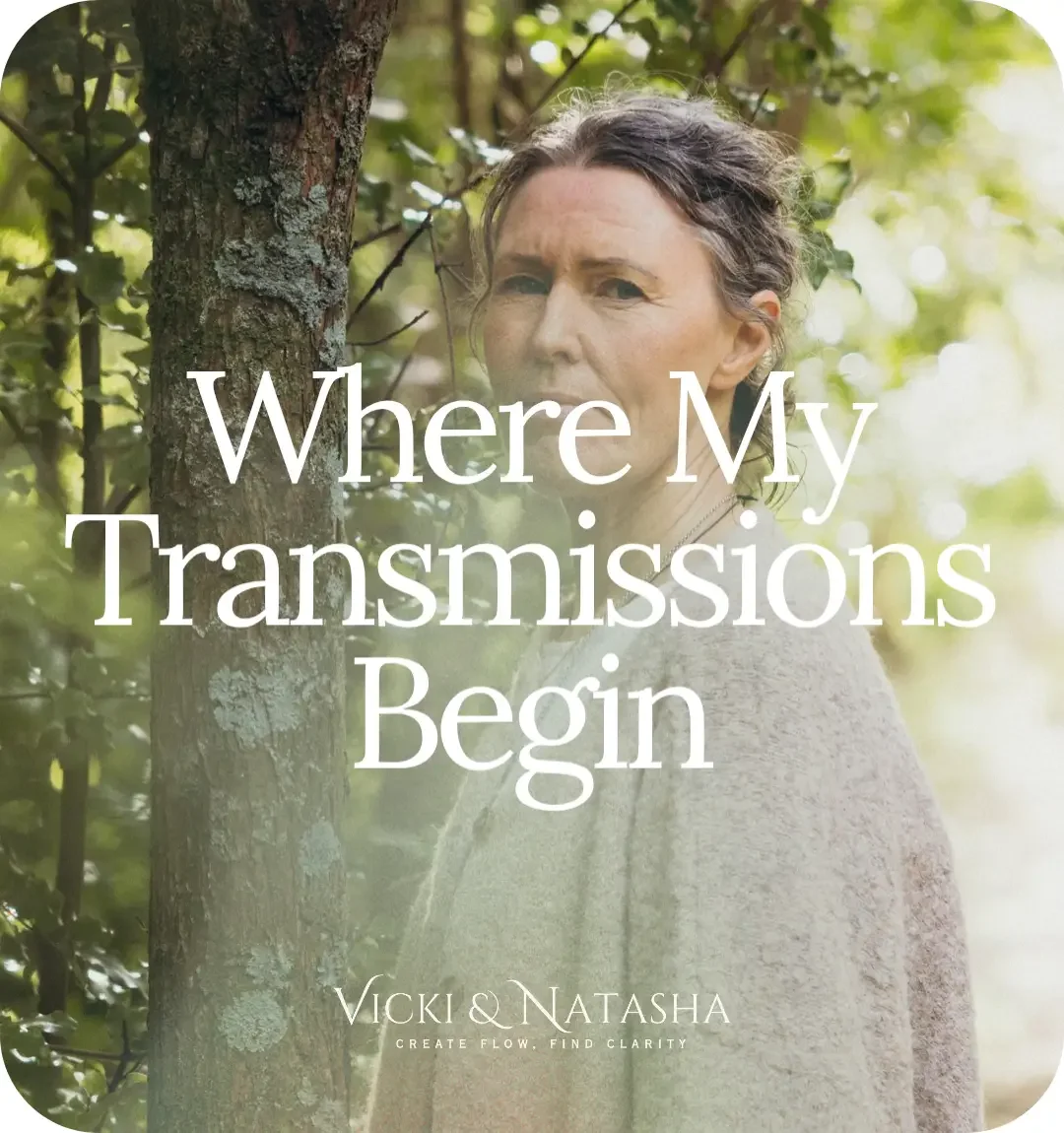 Where My Transmissions Begin