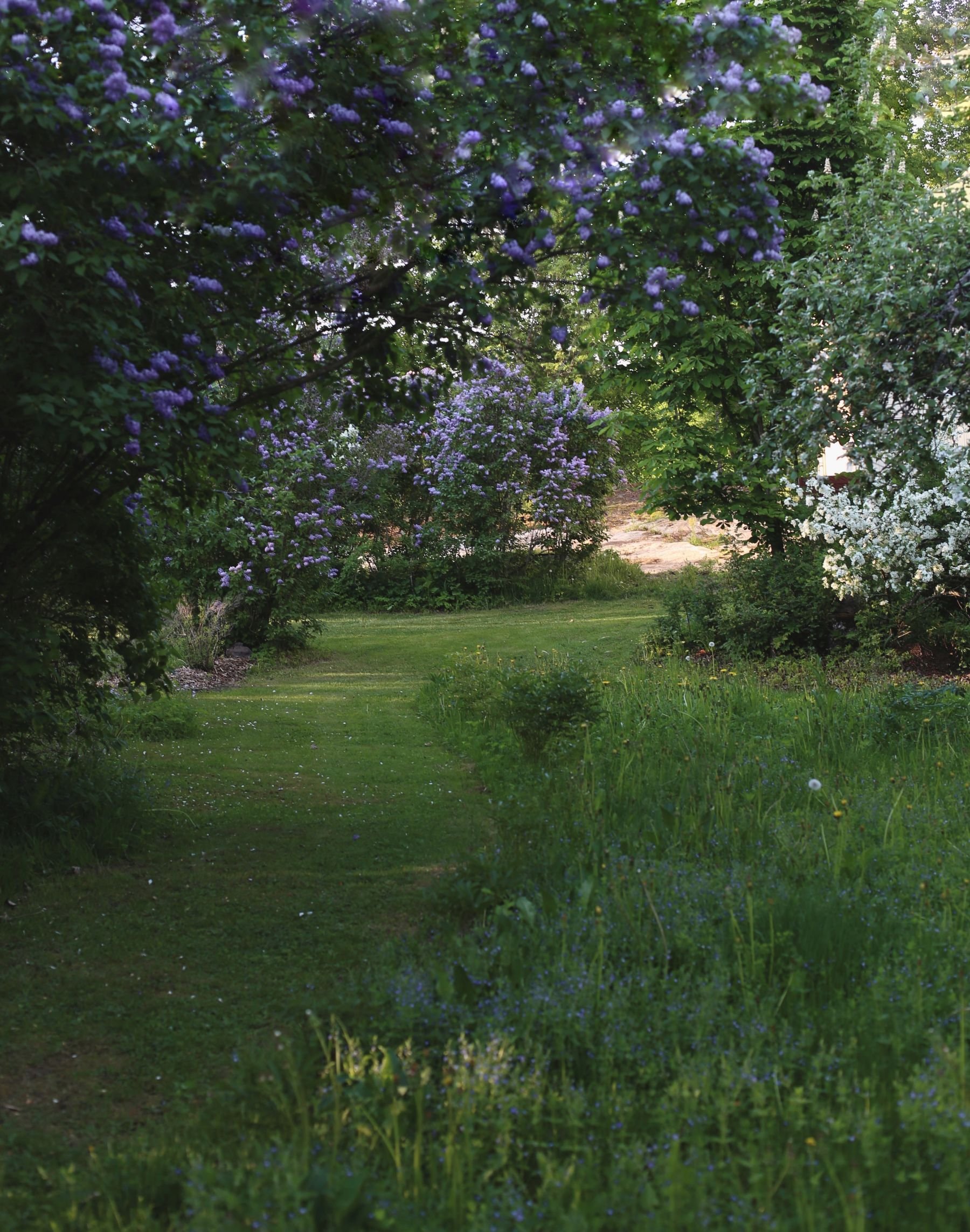 villa_pasimo_4.jpg
