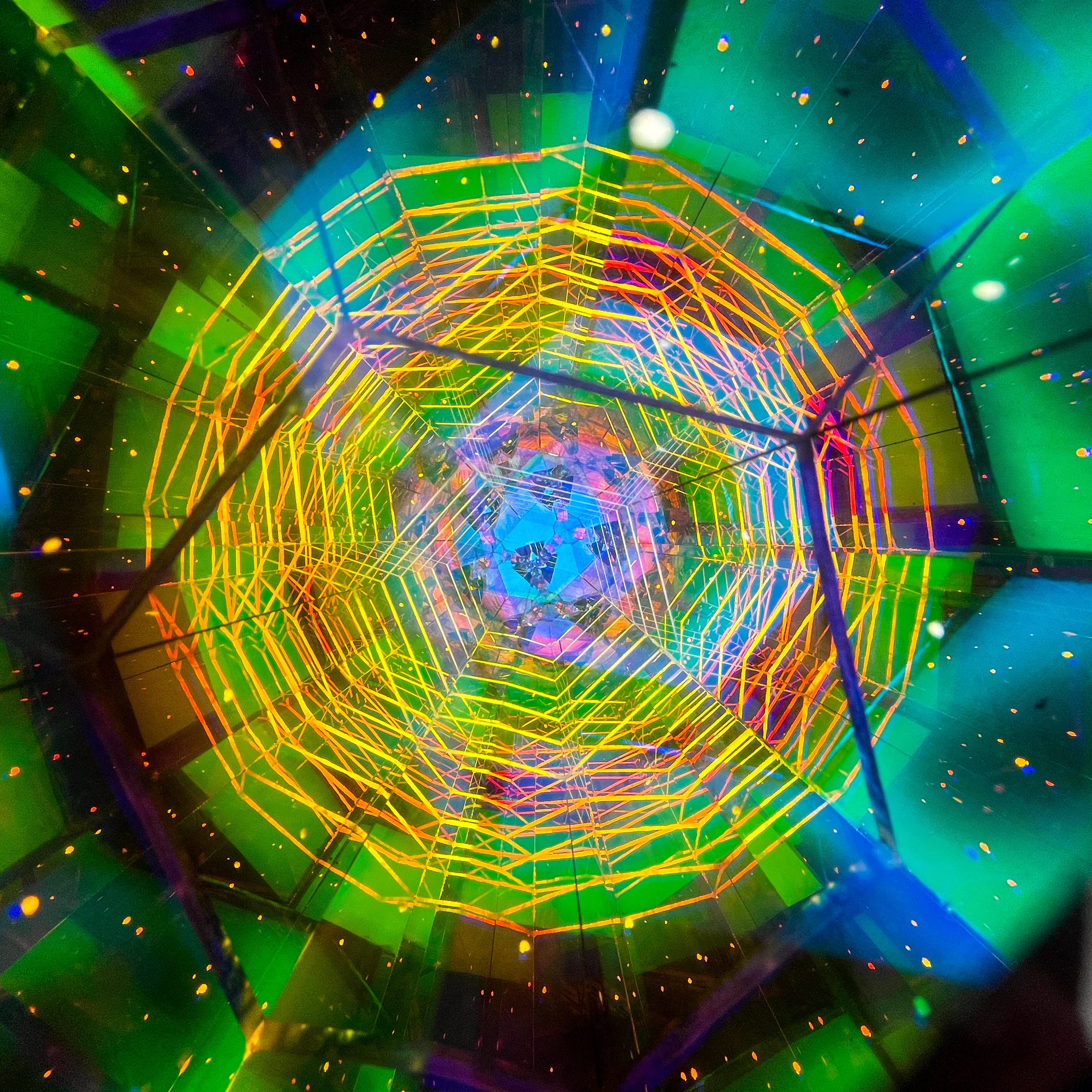 2026_3355.JPG