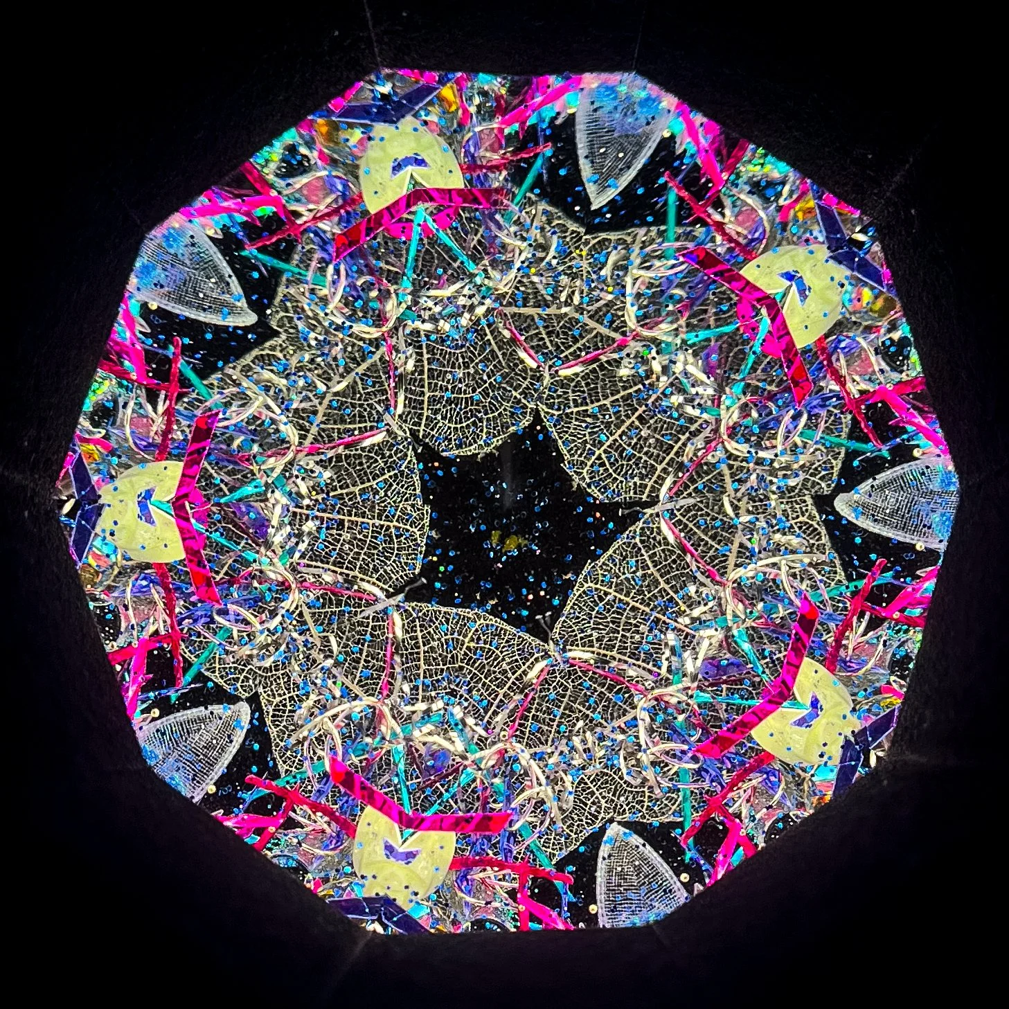 2025_2542.JPG