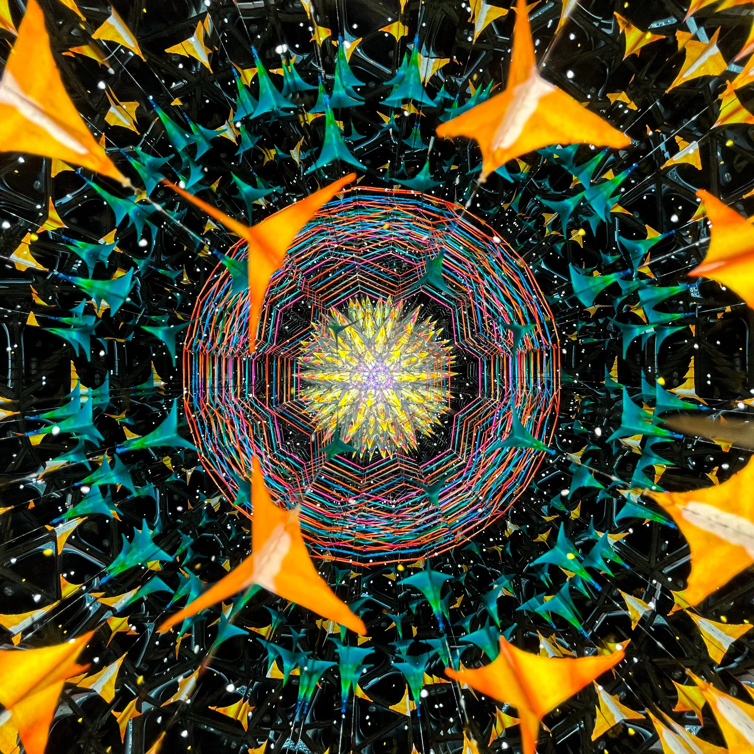 2025_3001.JPG