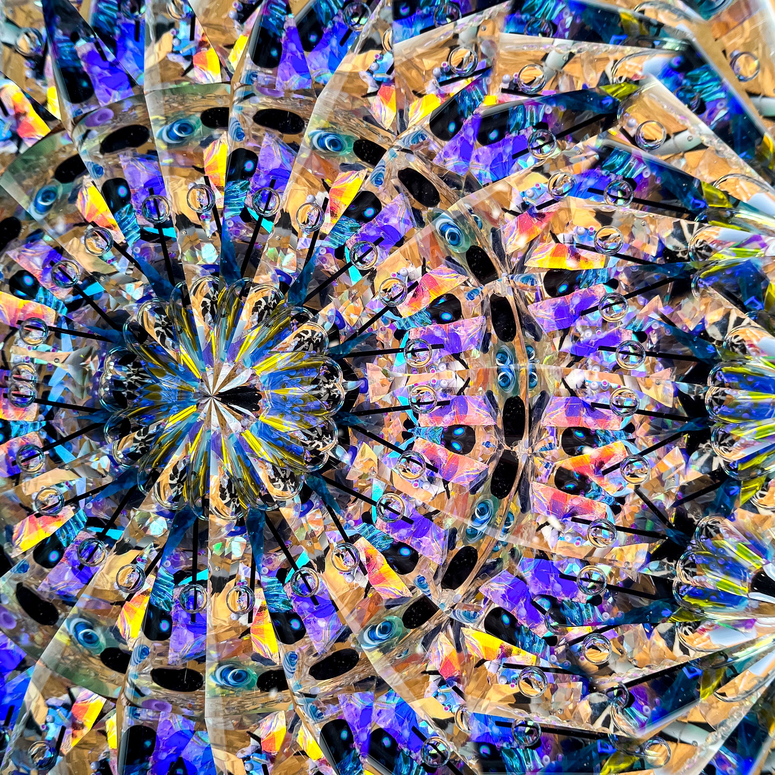 2025_2501.JPG