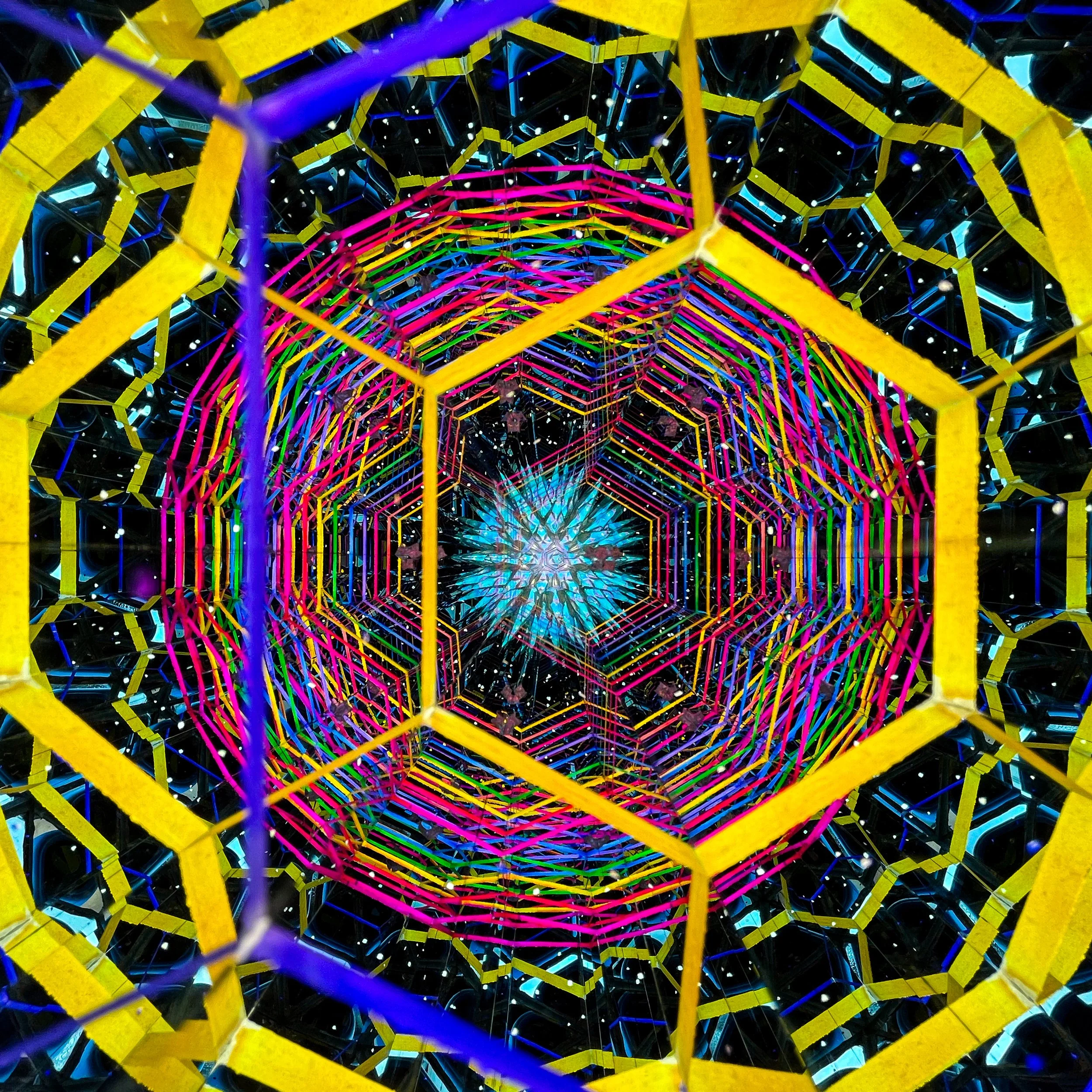 2026_3487.JPG