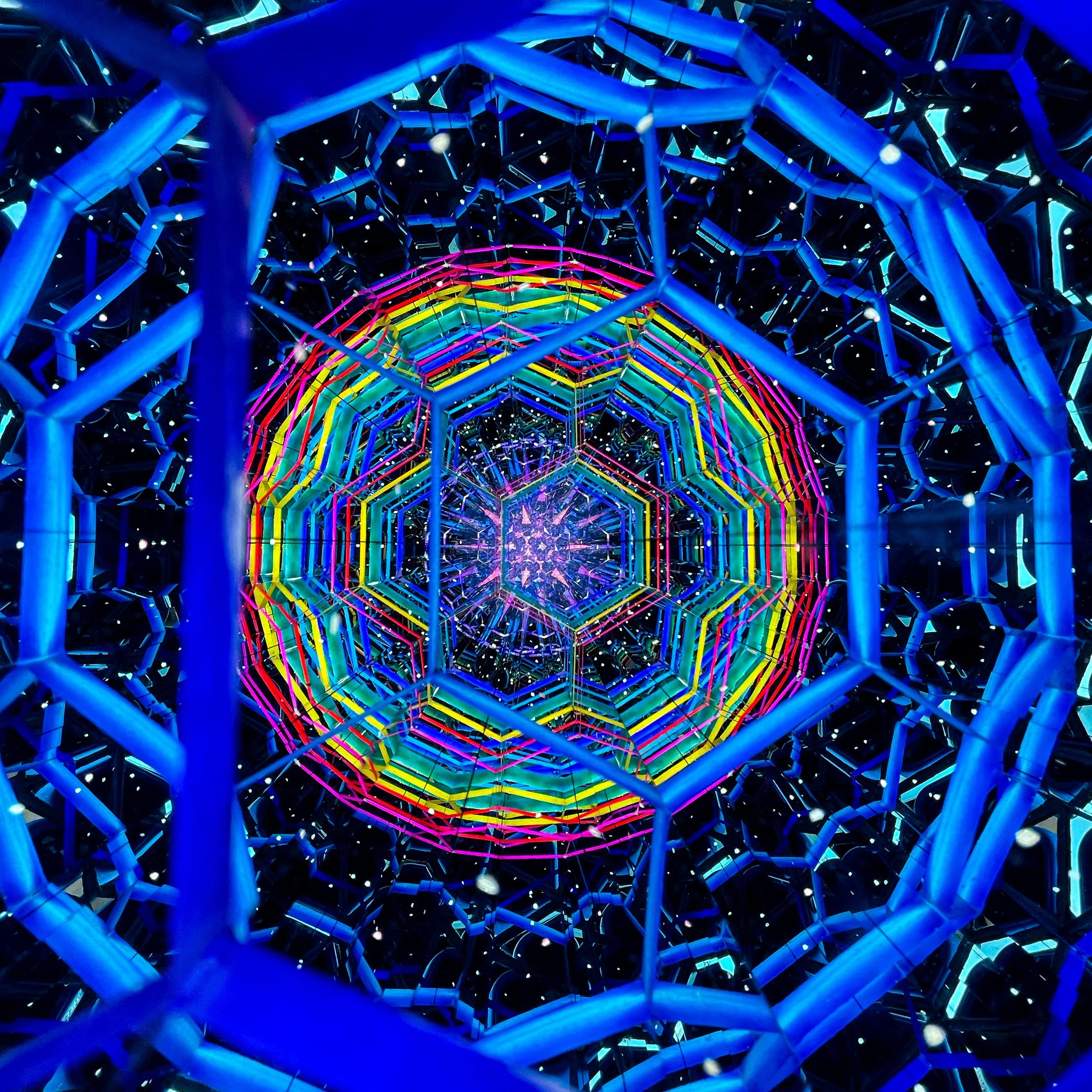 2026_3445.JPG