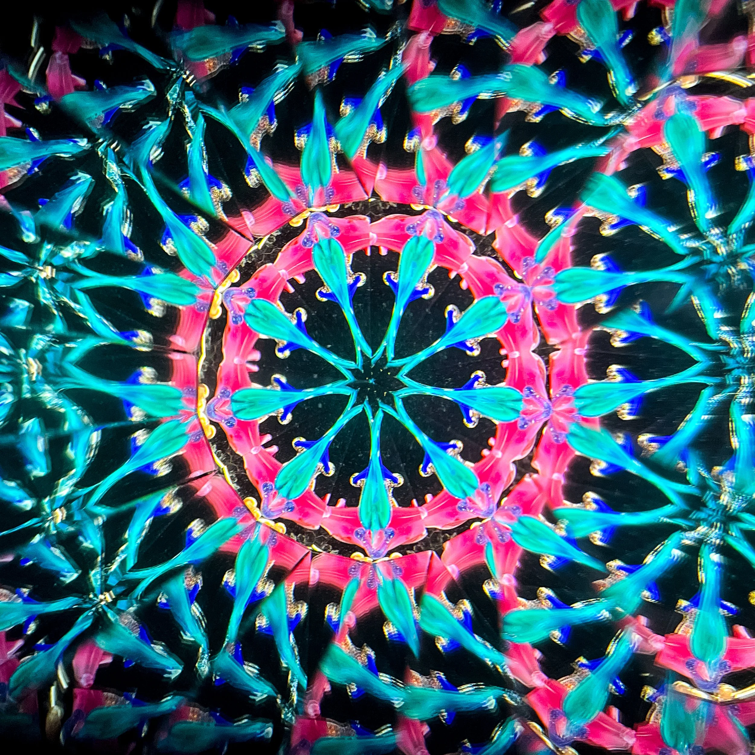 2025_2568.JPG