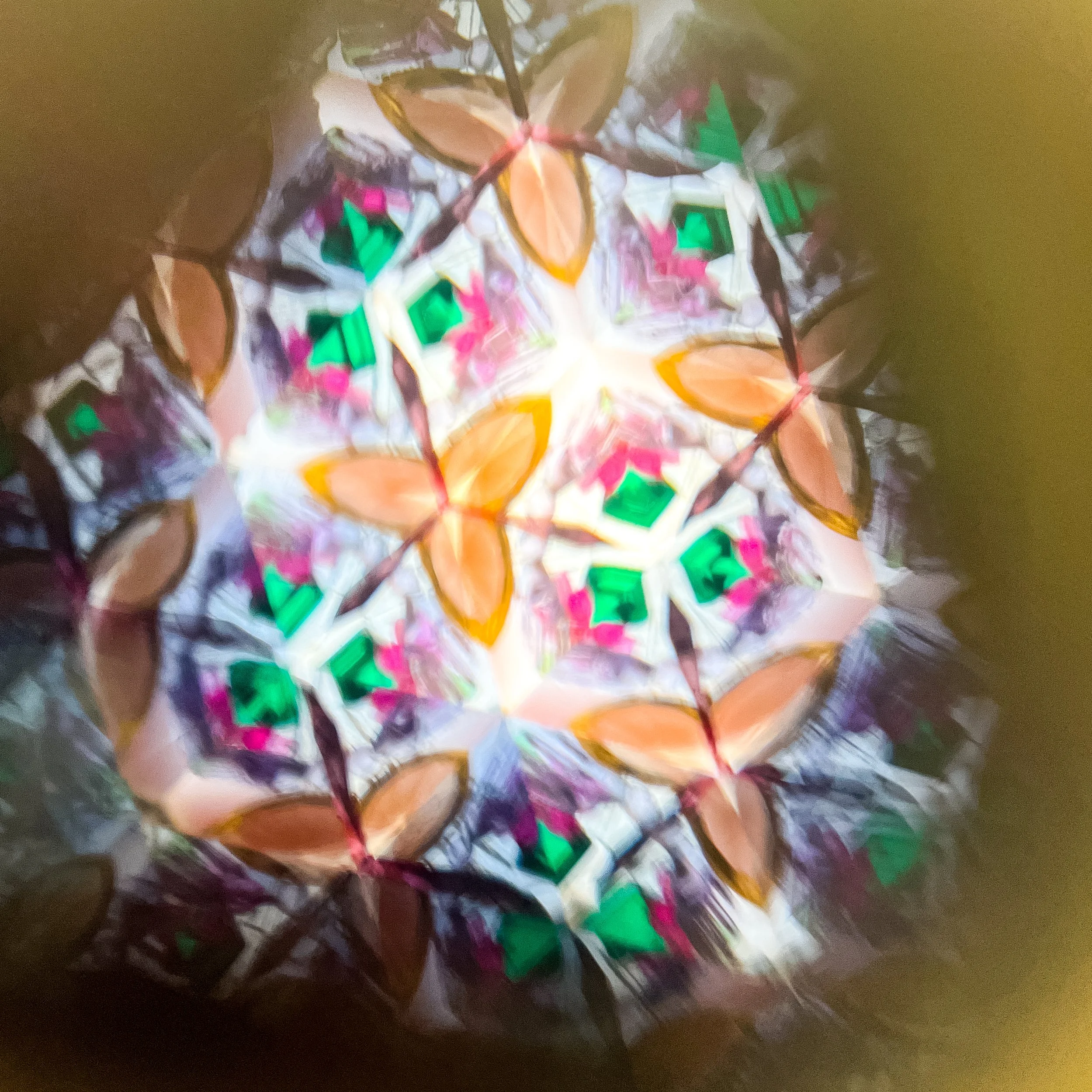 2025_2586.JPG