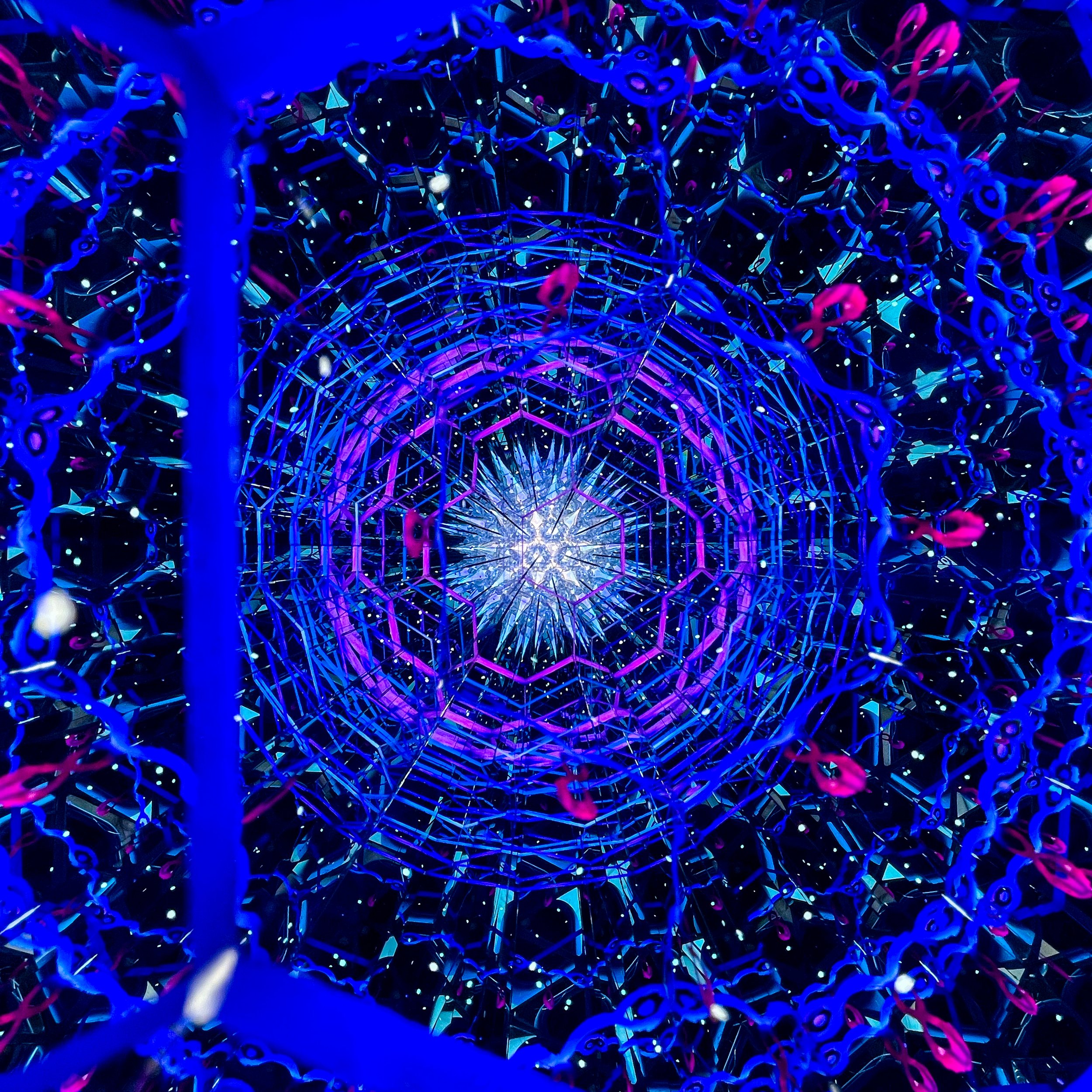 2026_3415.JPG