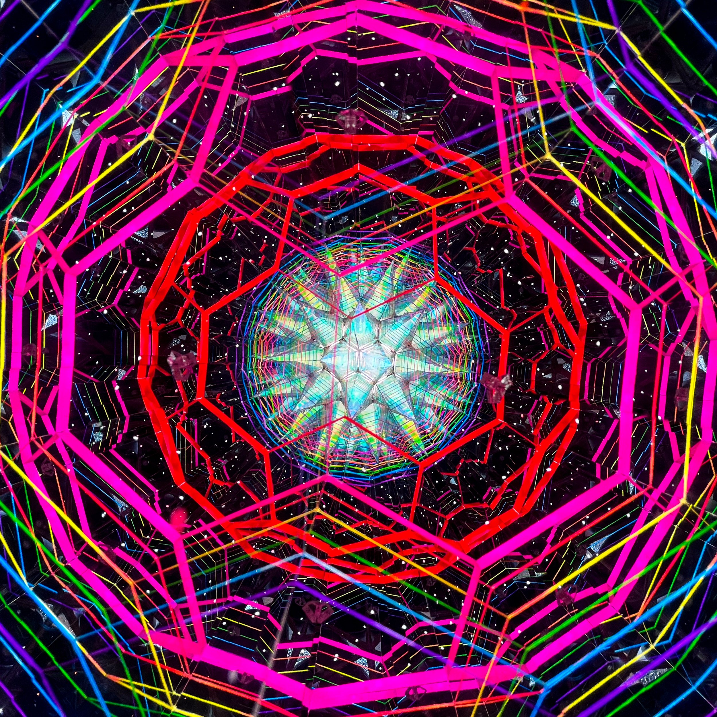 2025_3139.JPG