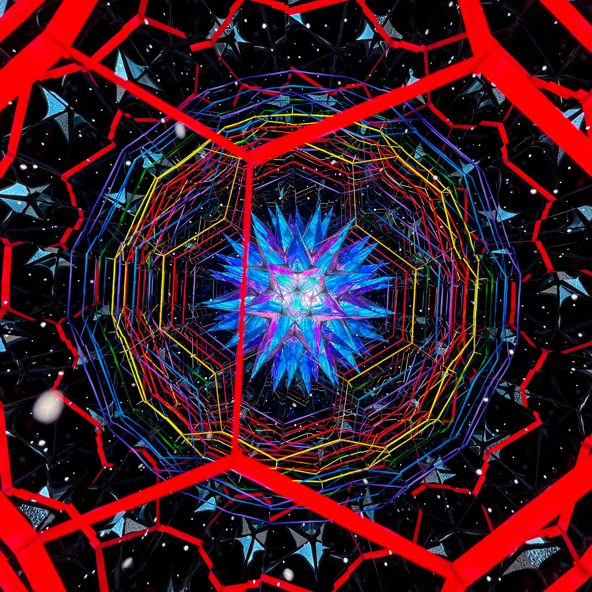 2025_3229.JPG