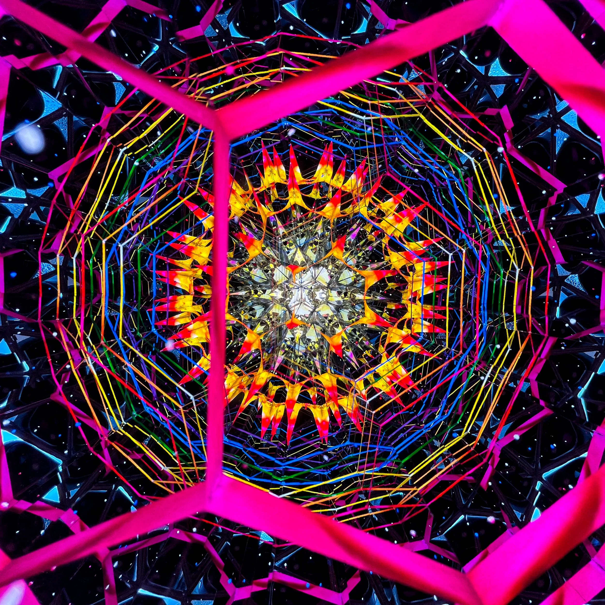 2025_3205.JPG