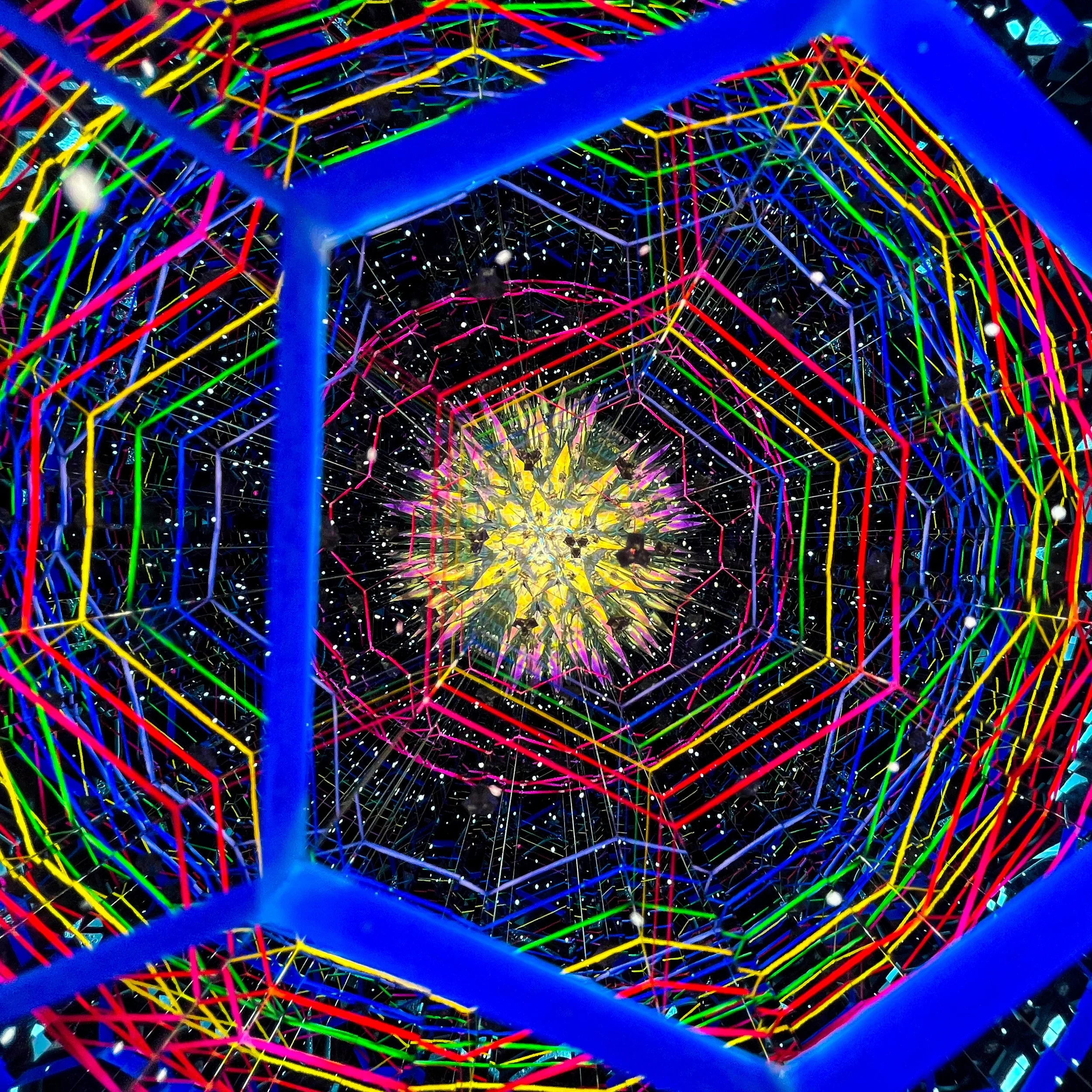 2025_3037.JPG