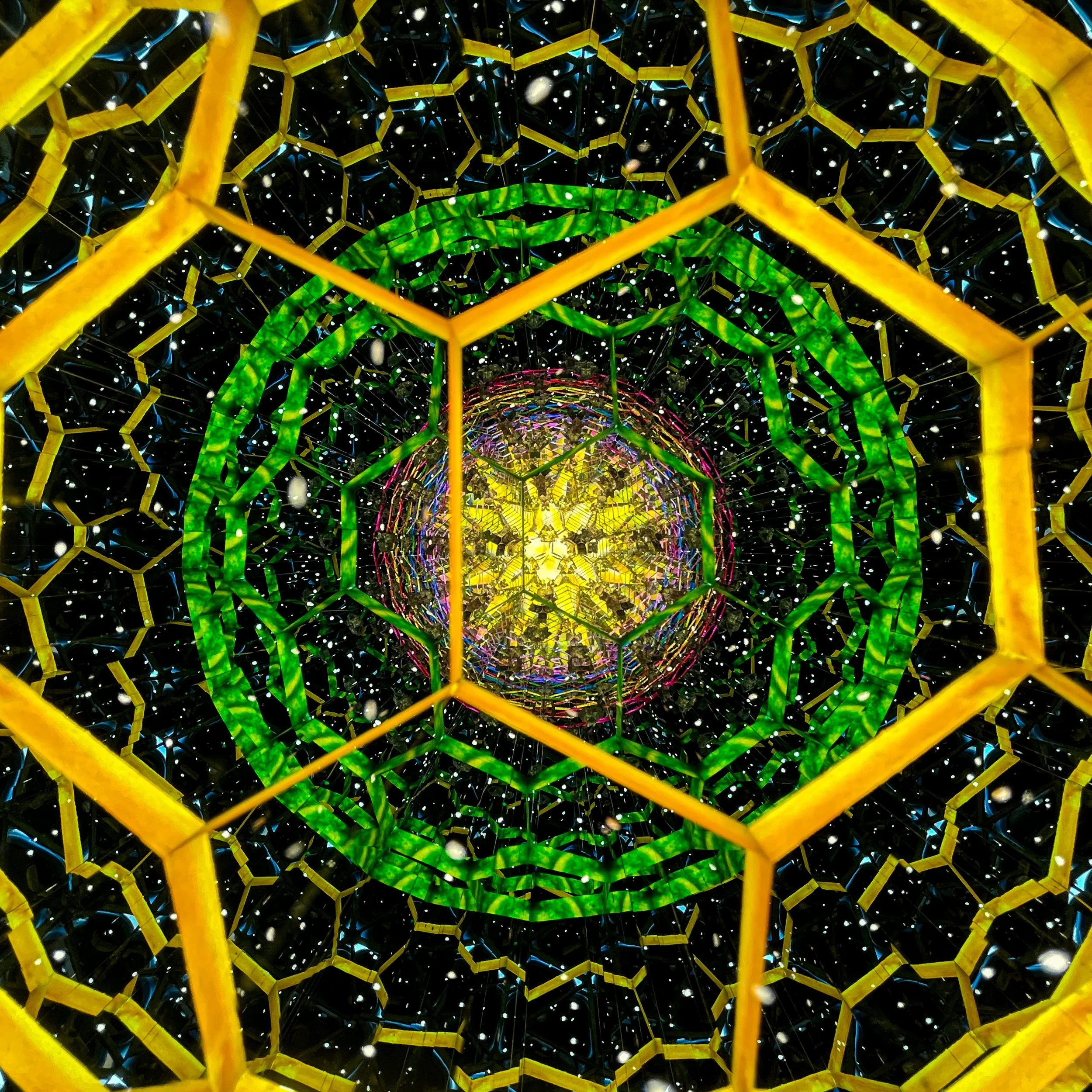 2026_3499.JPG