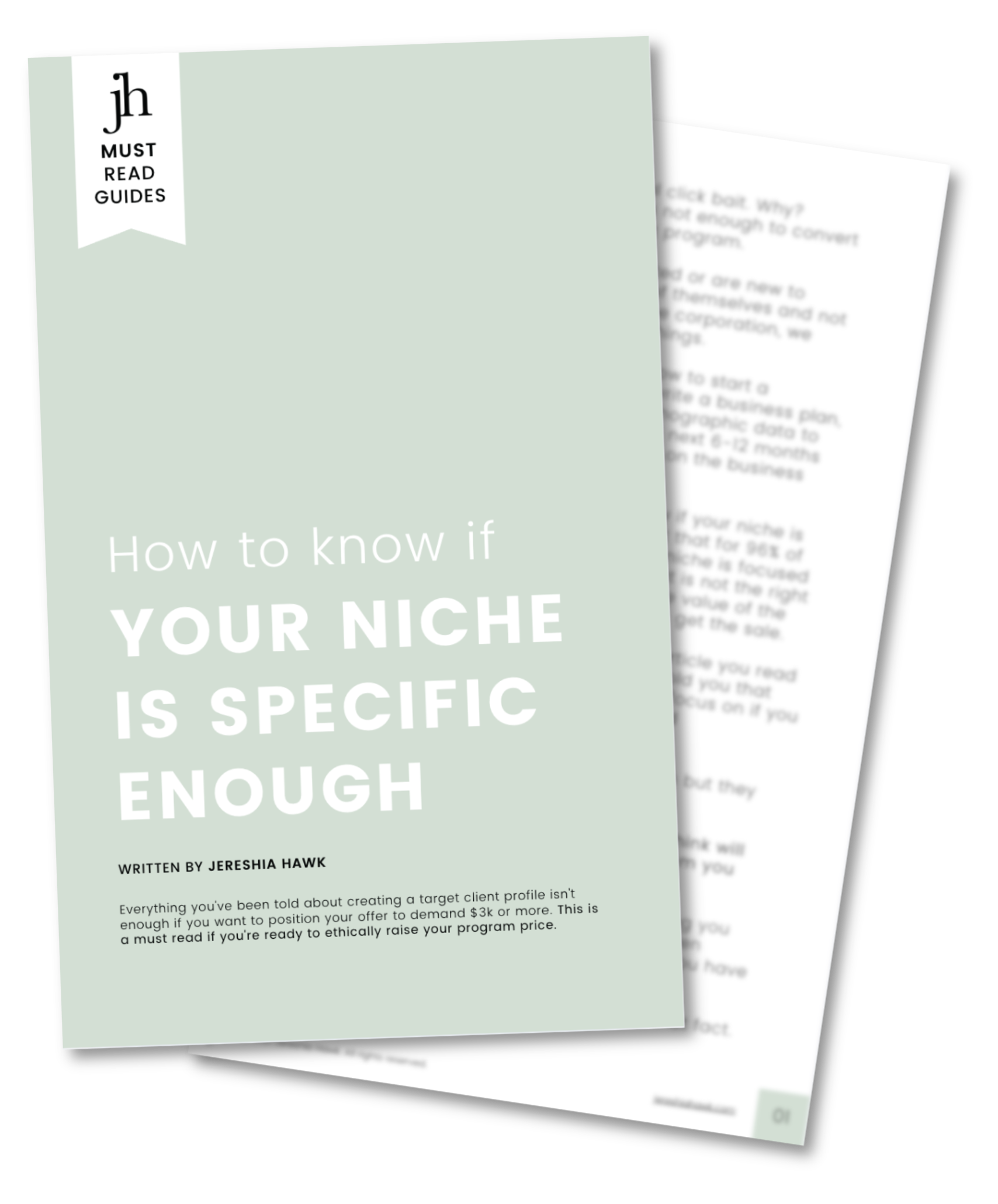 PDF mock up of the niche guide