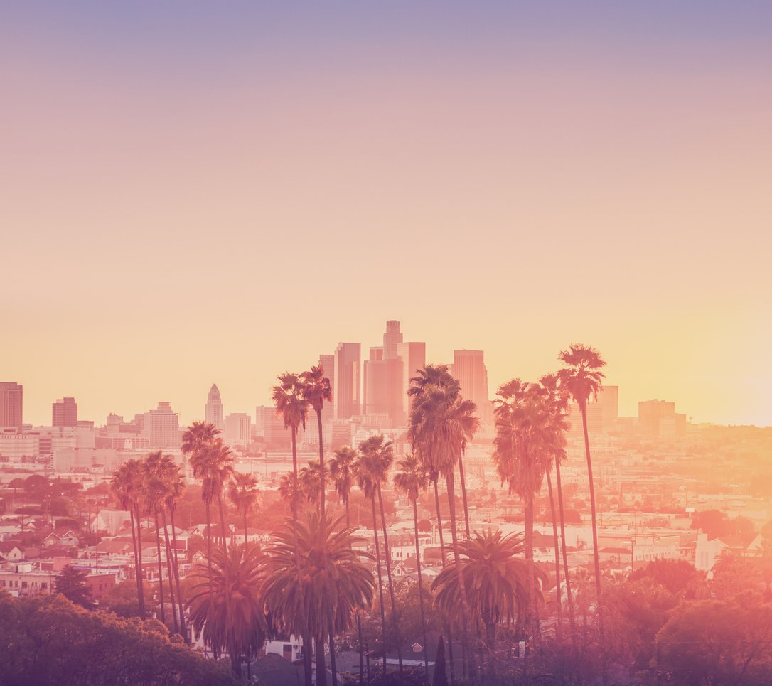 City skyline during sunset with tall palm trees in the foreground.