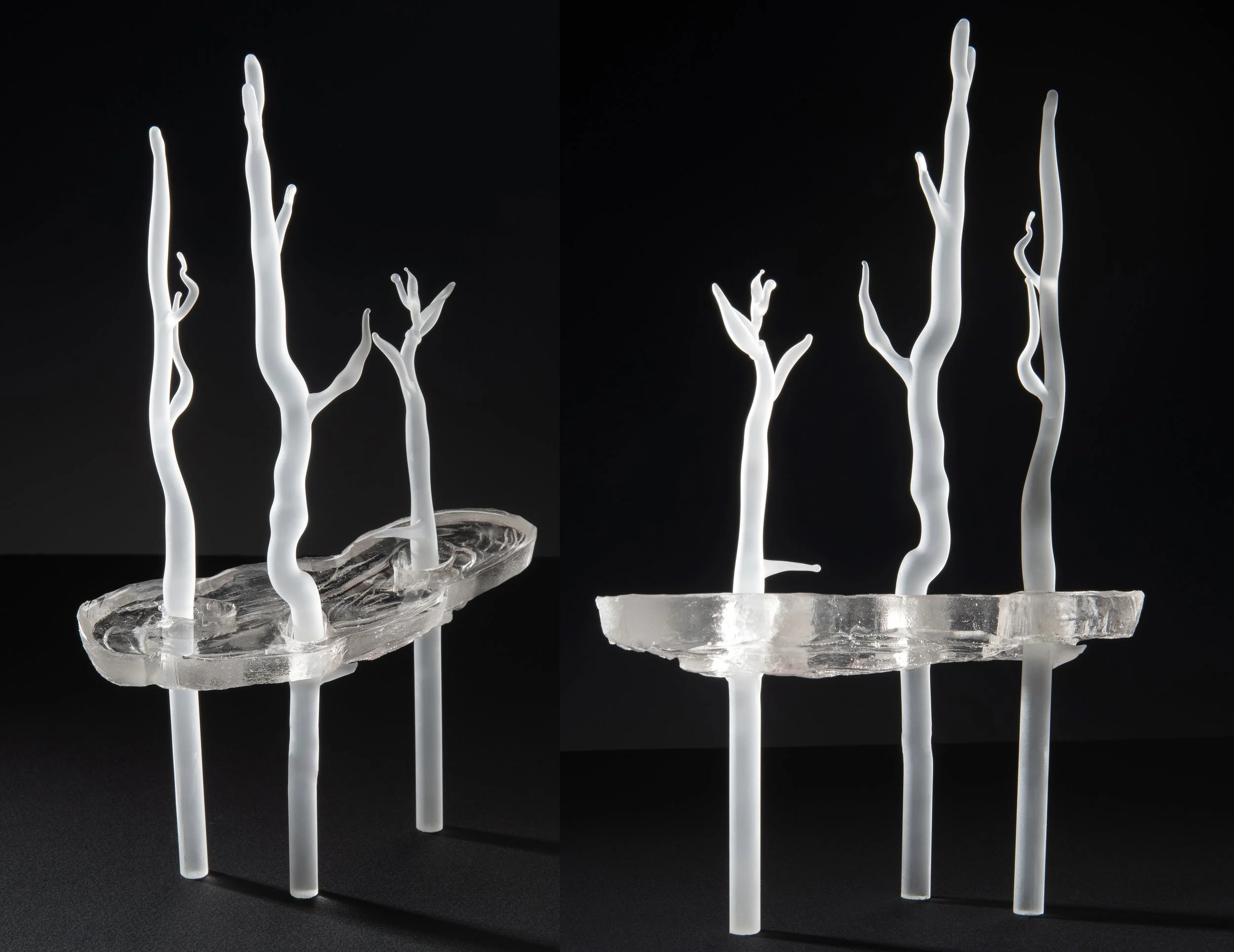 19_Earthquake Lake.jpg