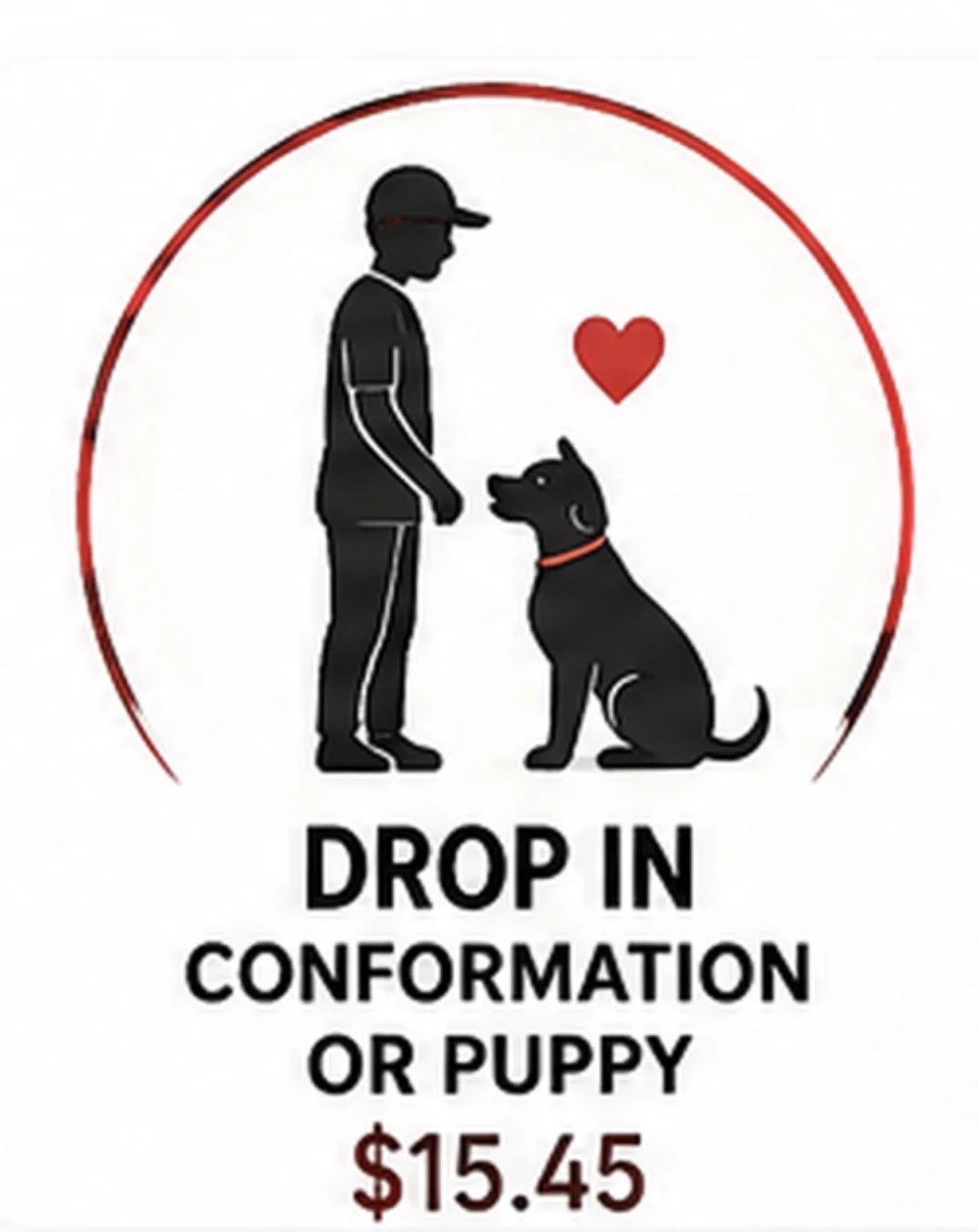 Drop In - Conformation or Puppy
