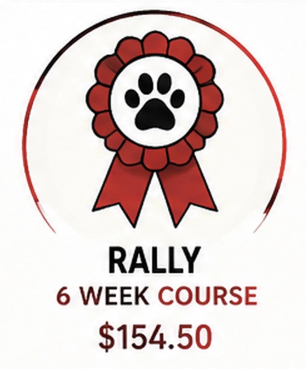 Rally - 6 week course