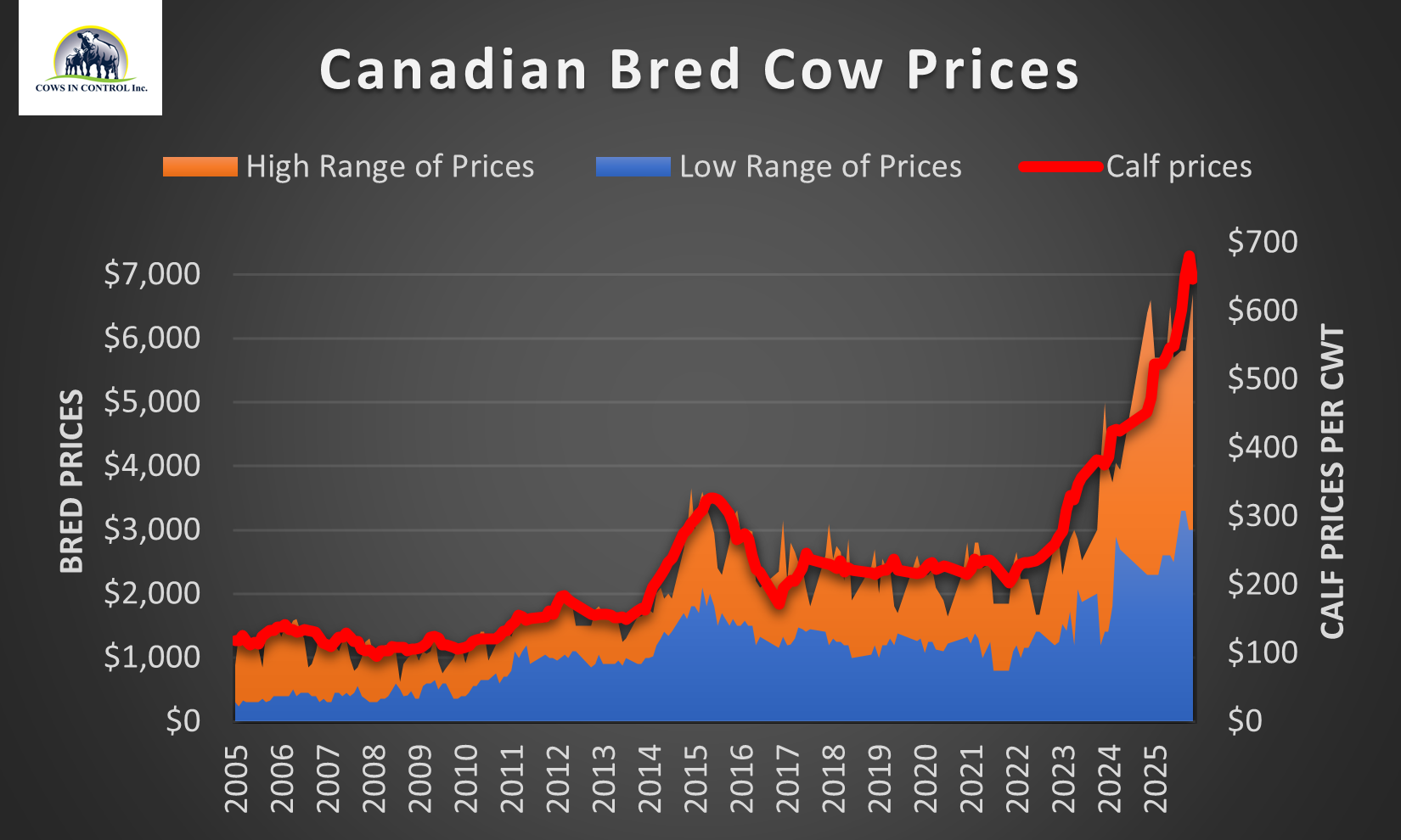 Are bred heifers undervalued?