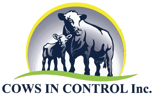 Cows in Control Bred Cattle Marketing