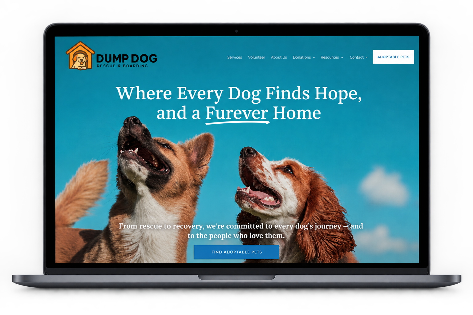 Website home page of Dump Dog Rescue