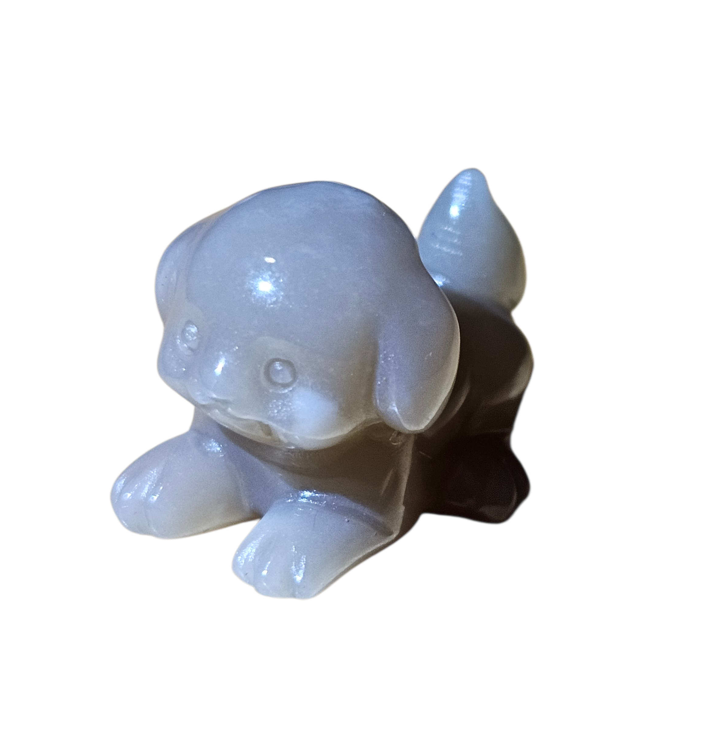 Mini dog 4.png