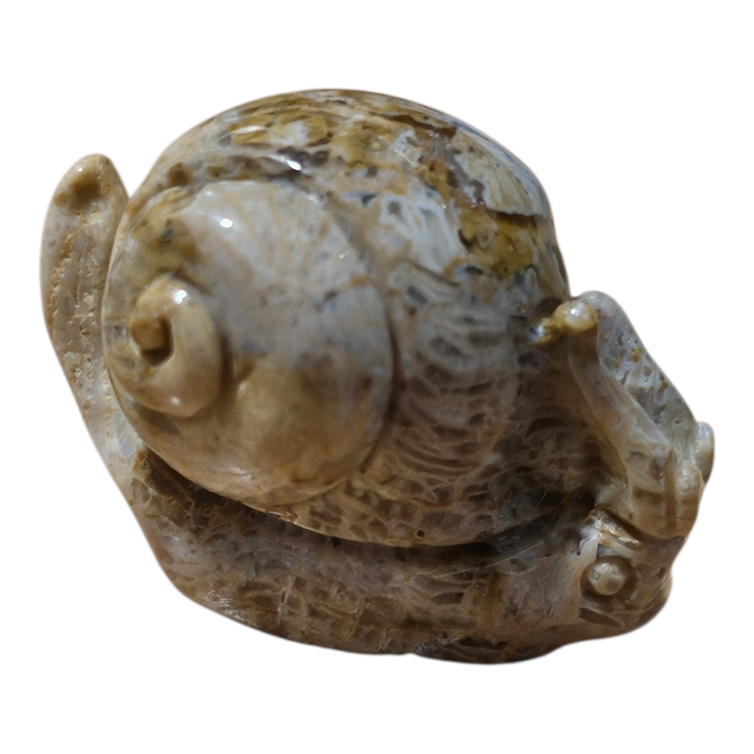 Mini Snail 5.png