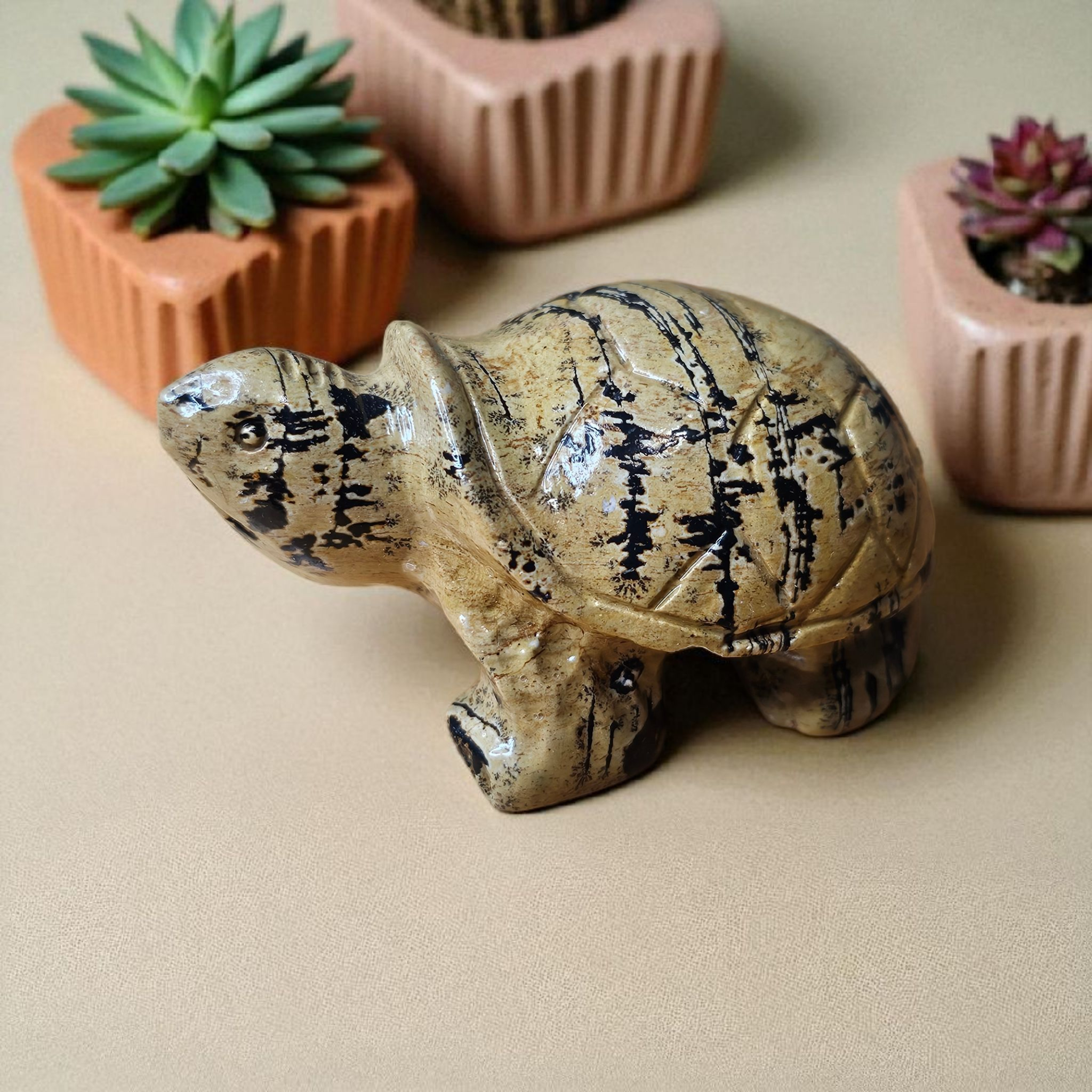 Picture Jasper Turtle — Crystal Addict