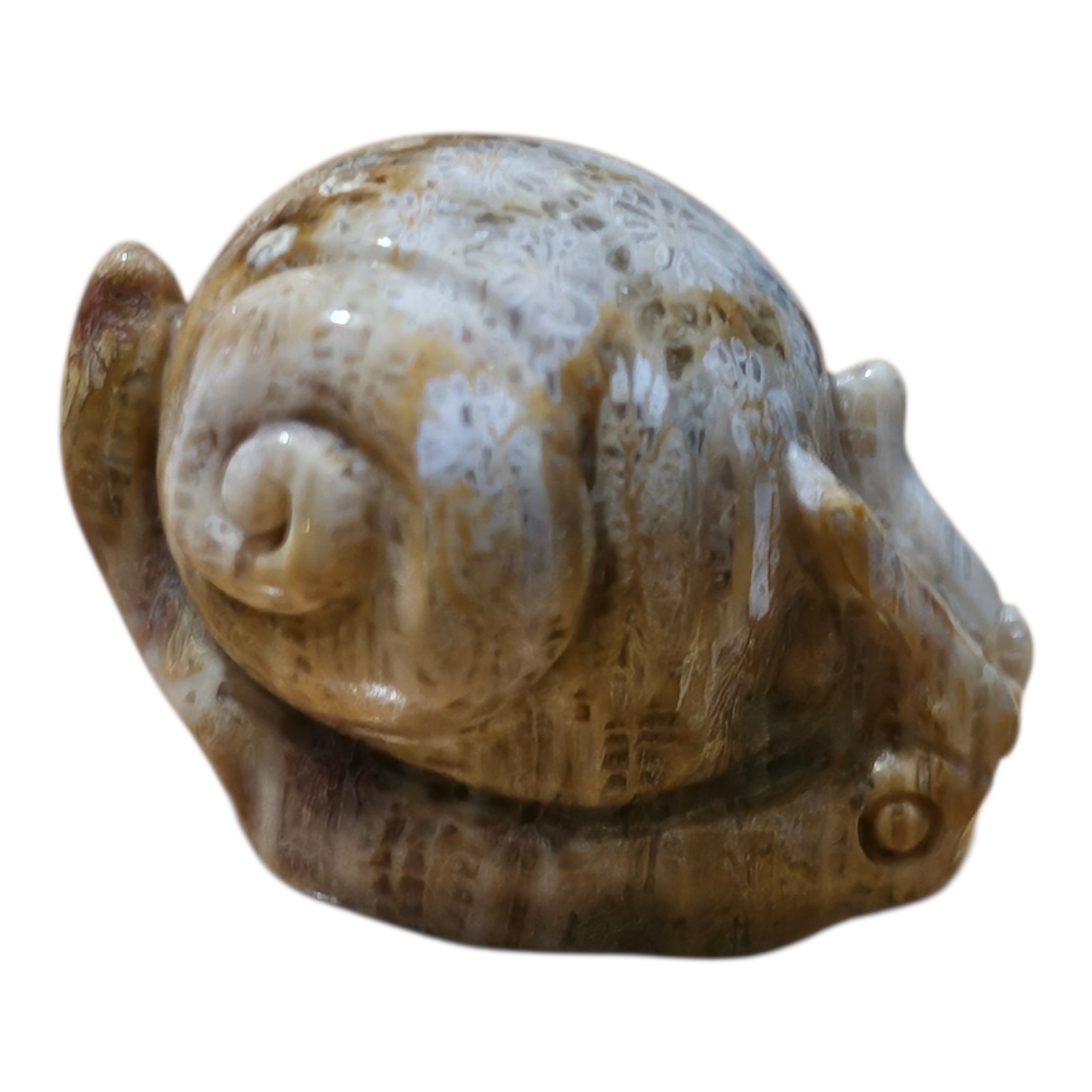Mini Snail 2.png