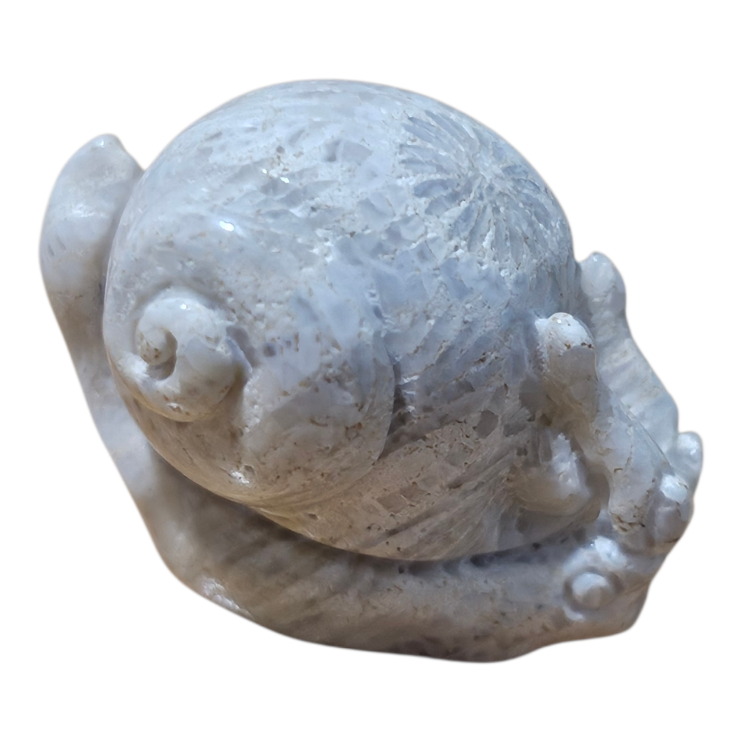 Mini Snail 4.png