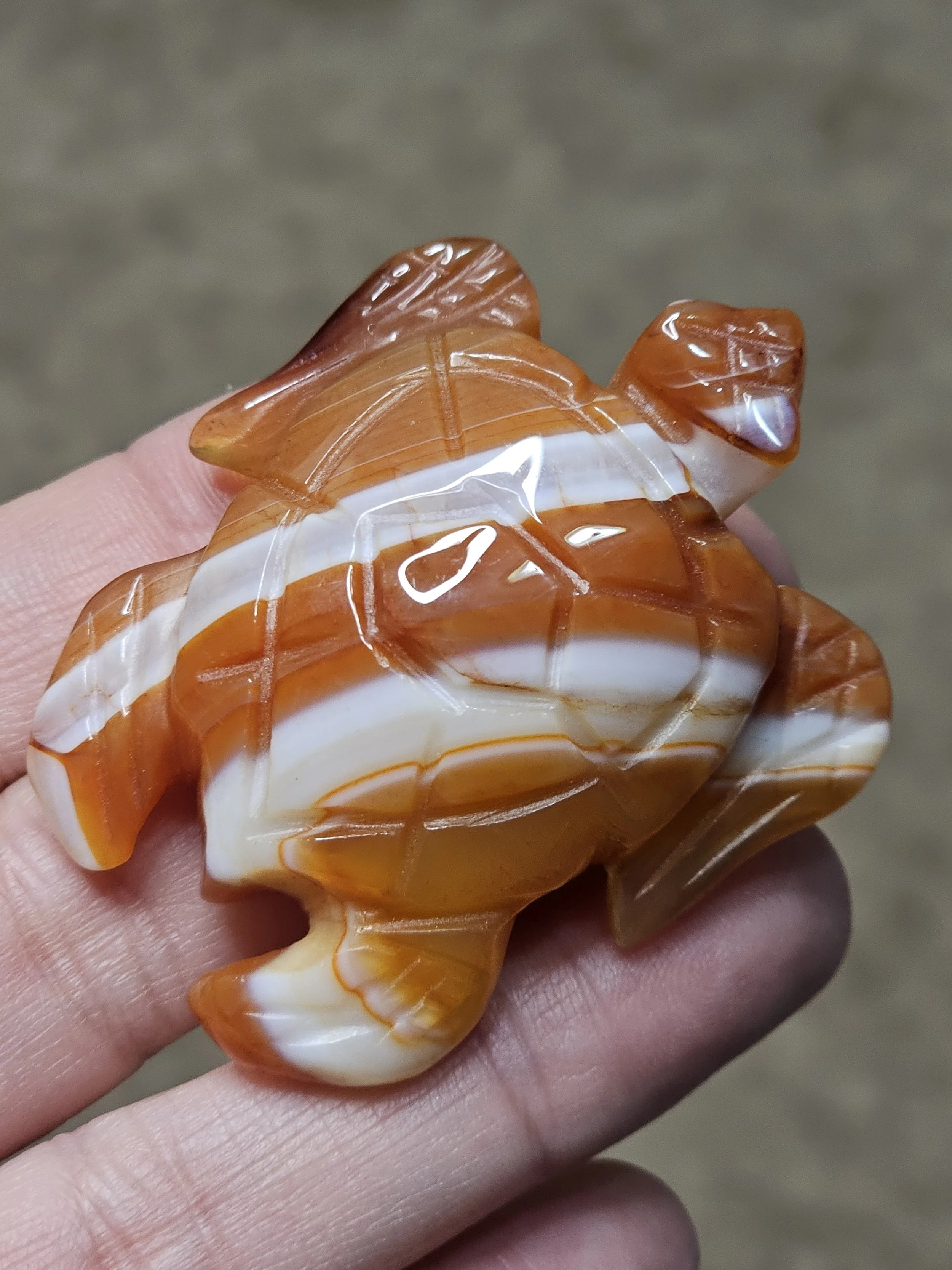 Carnelian Turtle #5.jpg