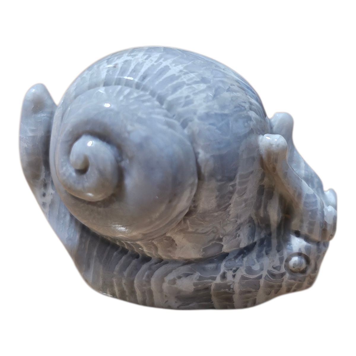Mini Snail 1.png